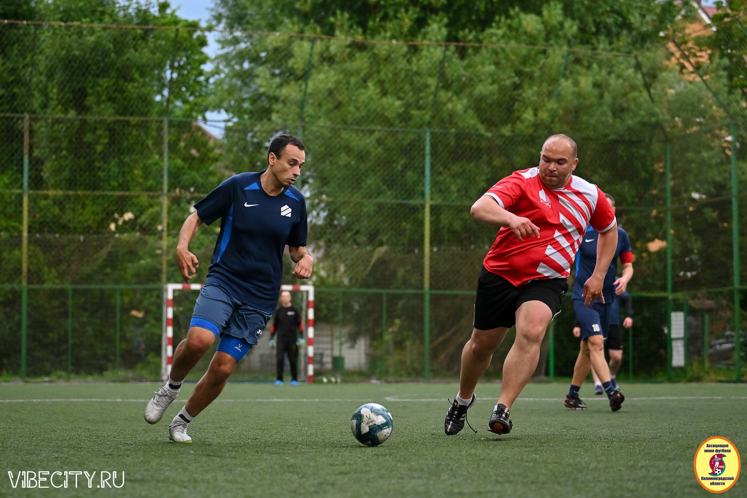 ИГРЫ МИНИ-ФУТБОЛЬНОЙ И КОРПОРАТИВНОЙ ЛИГИ. VIBECITY.RU Вайб Сити Ру Фоторепортажи Фотоотчеты Калининград