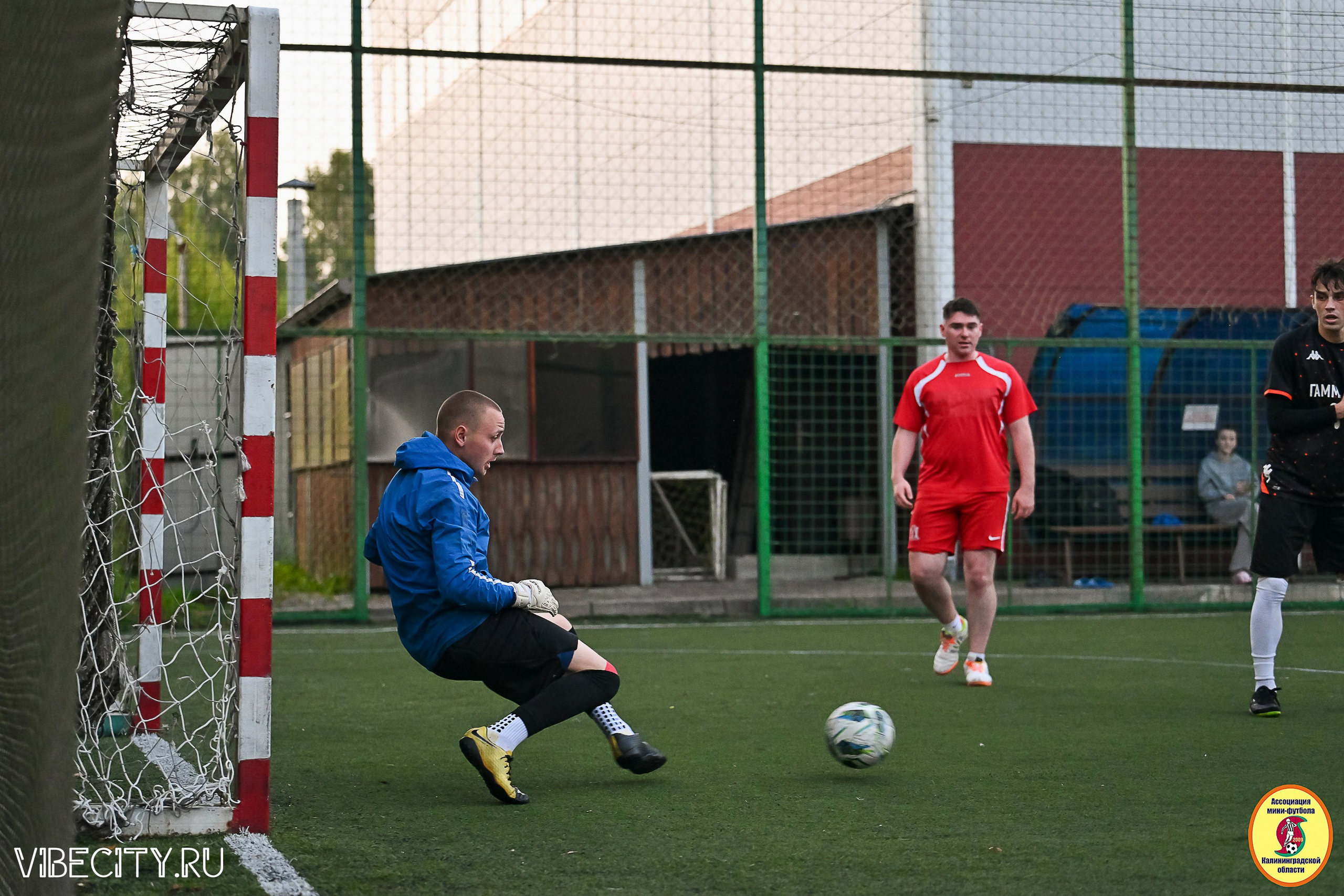ИГРЫ ПЛЕЙ-ОФФ ПЕРВОГО ДИВИЗИОНА МИНИ-ФУТБОЛЬНОЙ ЛИГИ. VIBECITY.RU Вайб Сити Ру Фоторепортажи Фотоотчеты Калининград