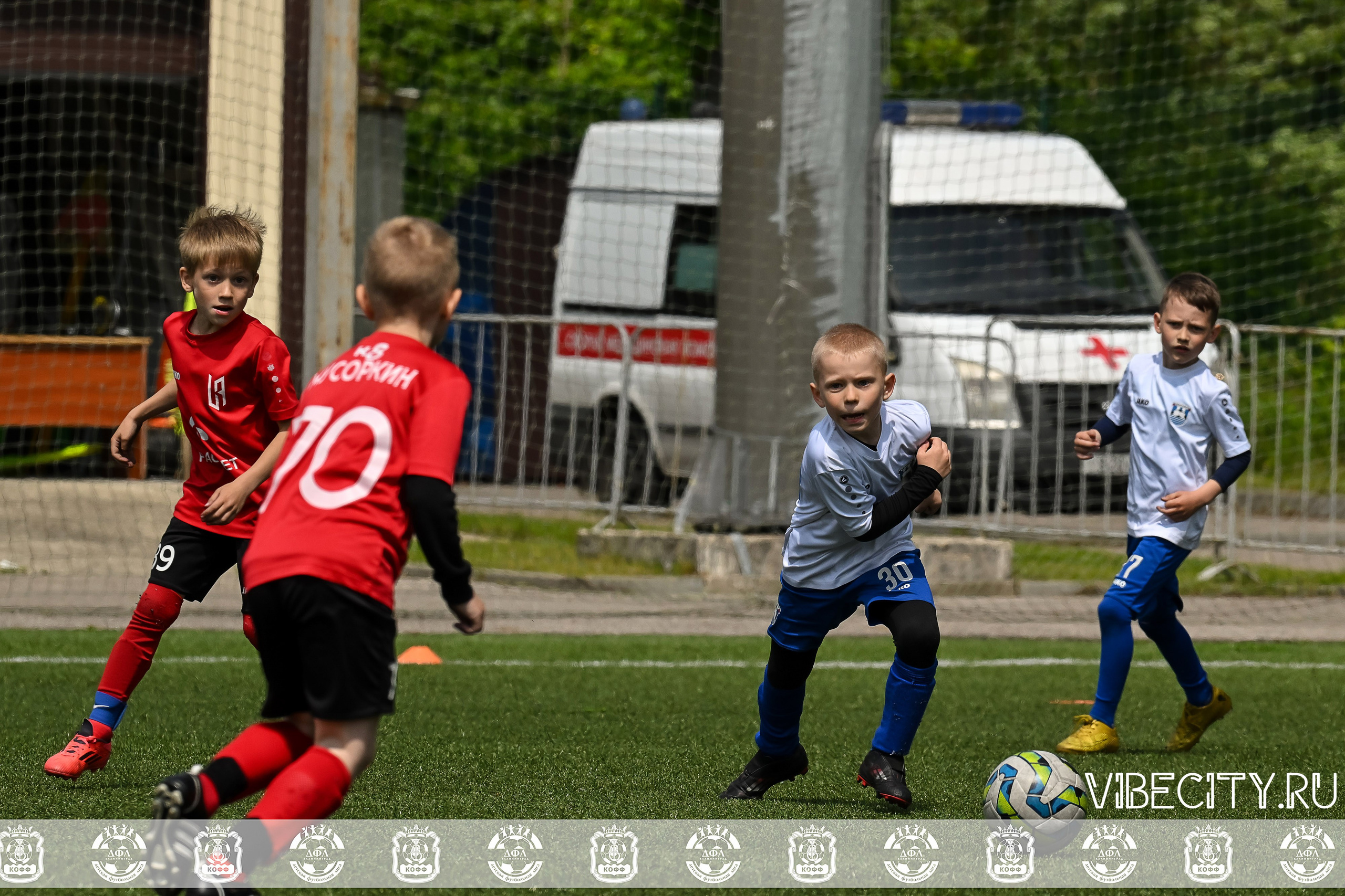 Большие Звезды светят Малым. VIBECITY.RU Вайб Сити Ру Фоторепортажи Фотоотчеты Калининград