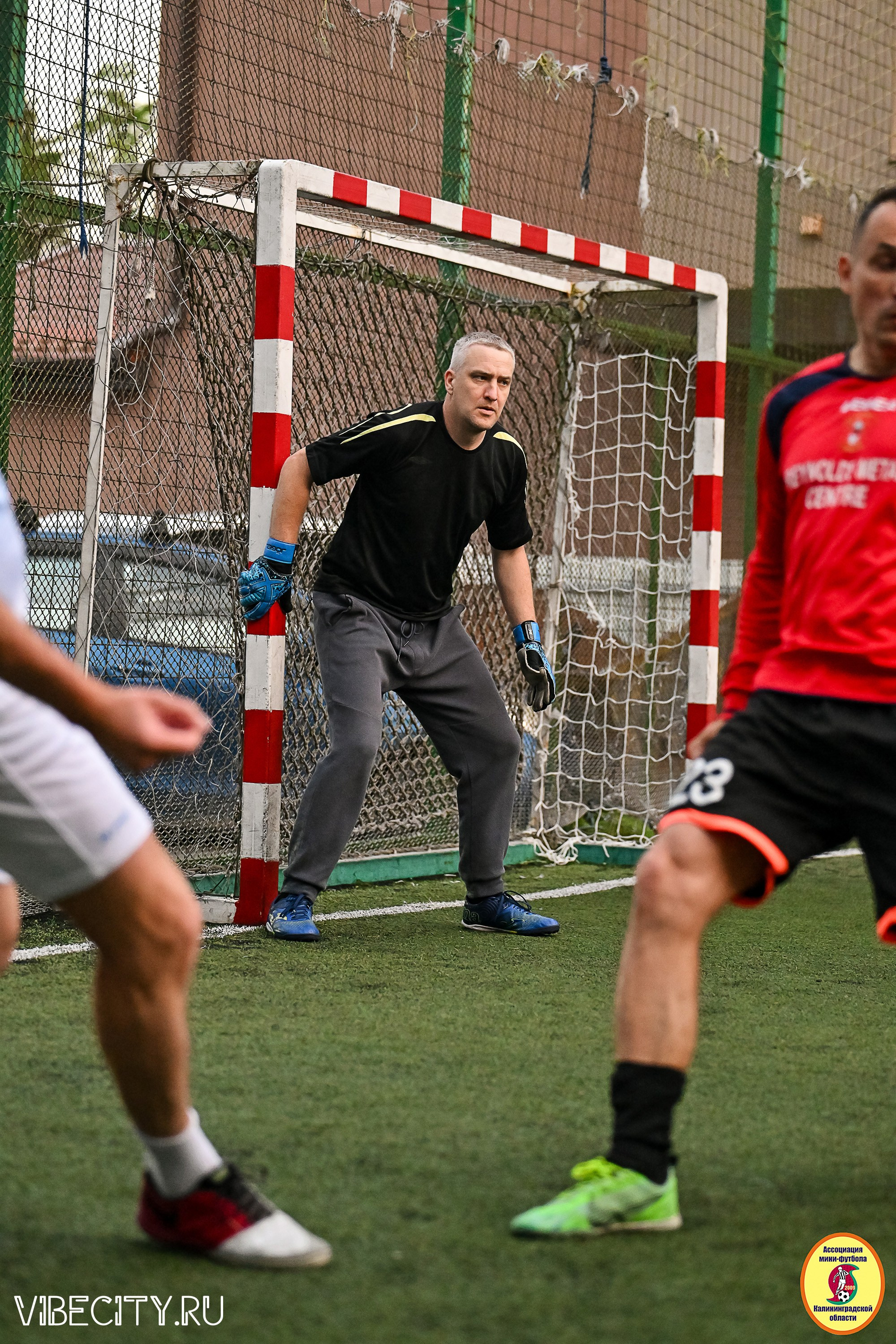 ПЛЕЙ-ОФФ КОРПОРАТИВНОЙ МФЛ И КУБКА МФЛ. VIBECITY.RU Вайб Сити Ру Фоторепортажи Фотоотчеты Калининград