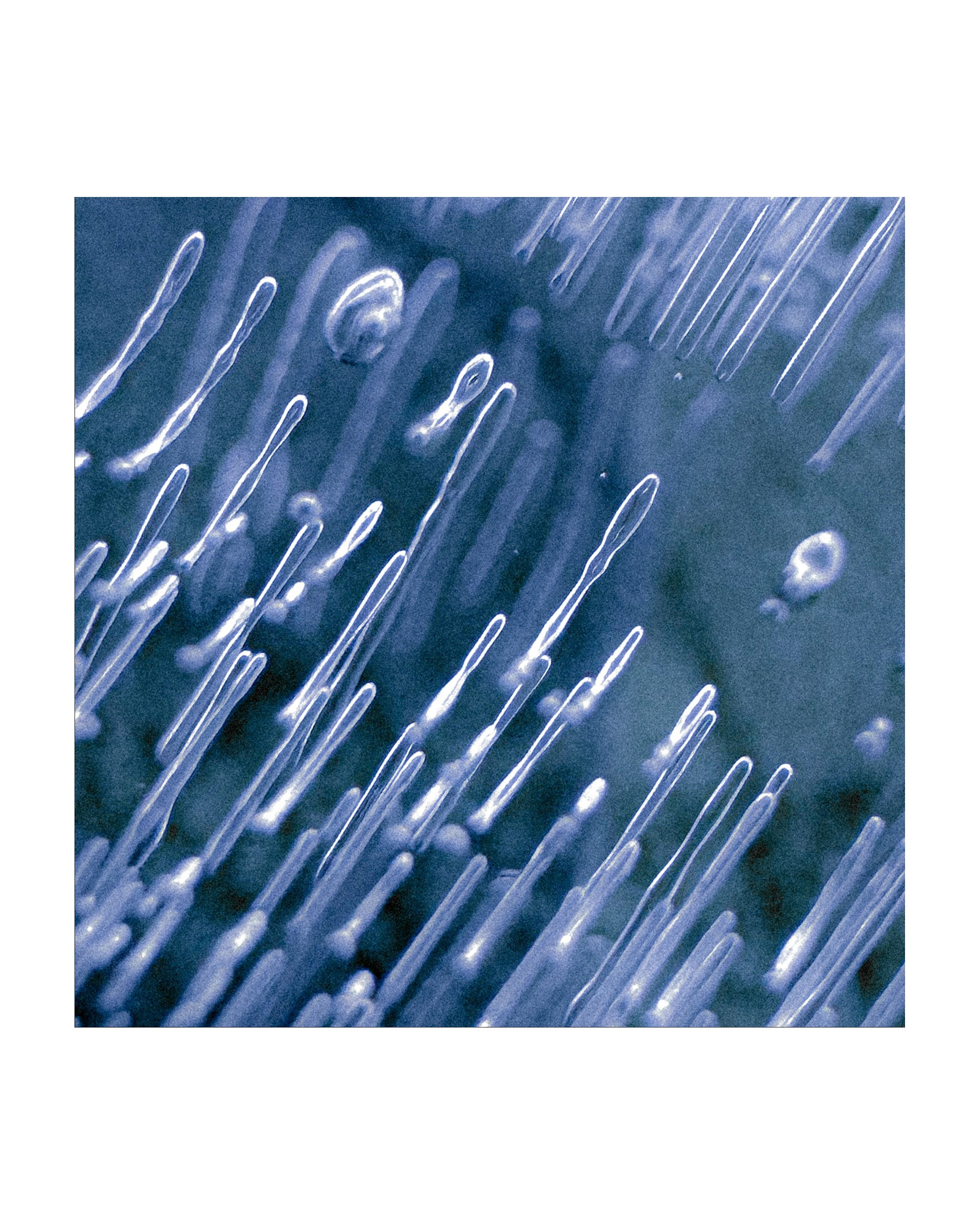 Mobile street art. Портретный фотограф в Москве