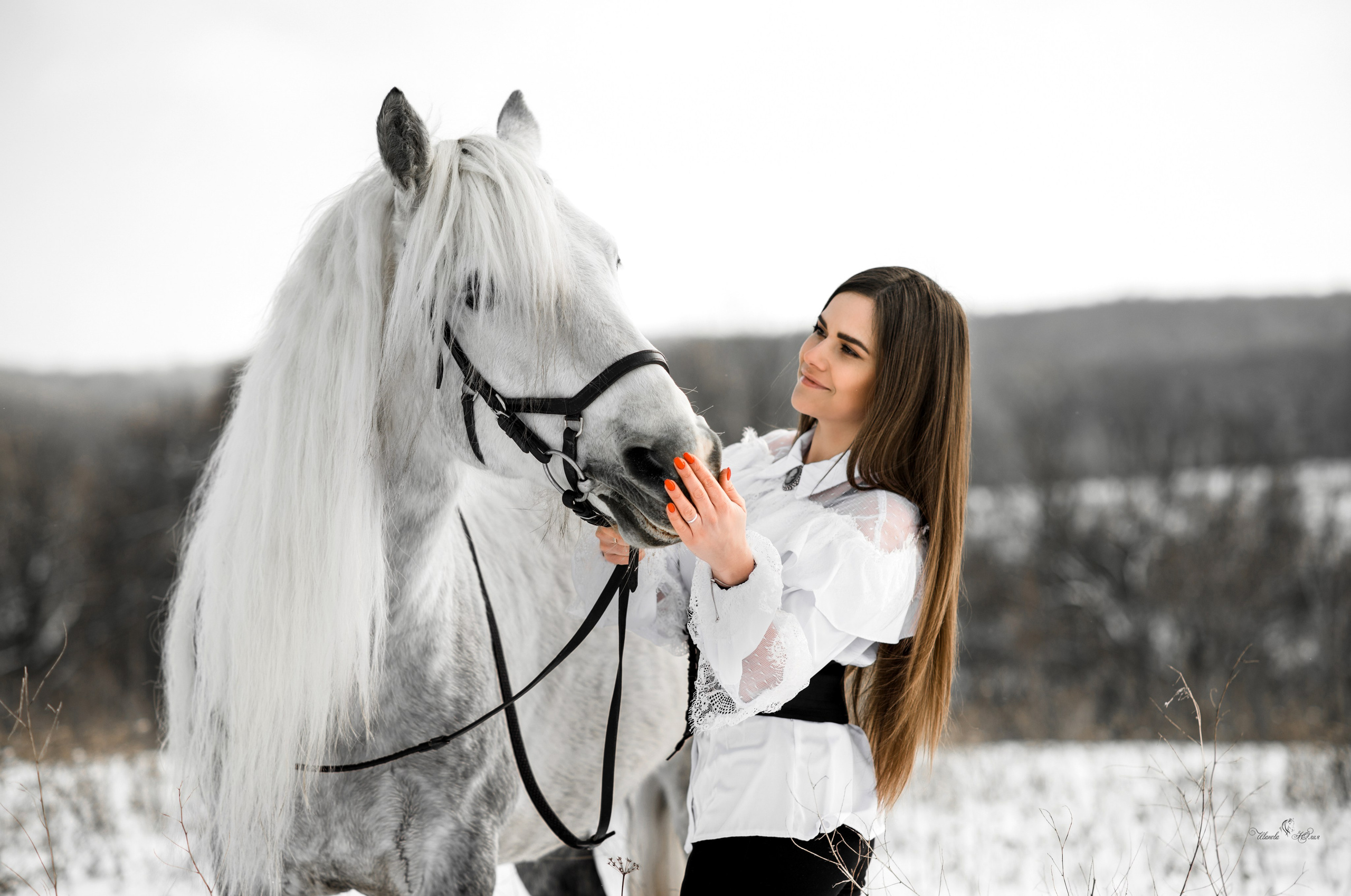Маша и Вымпел. Конный фотограф в Саратове Юлия Иванова