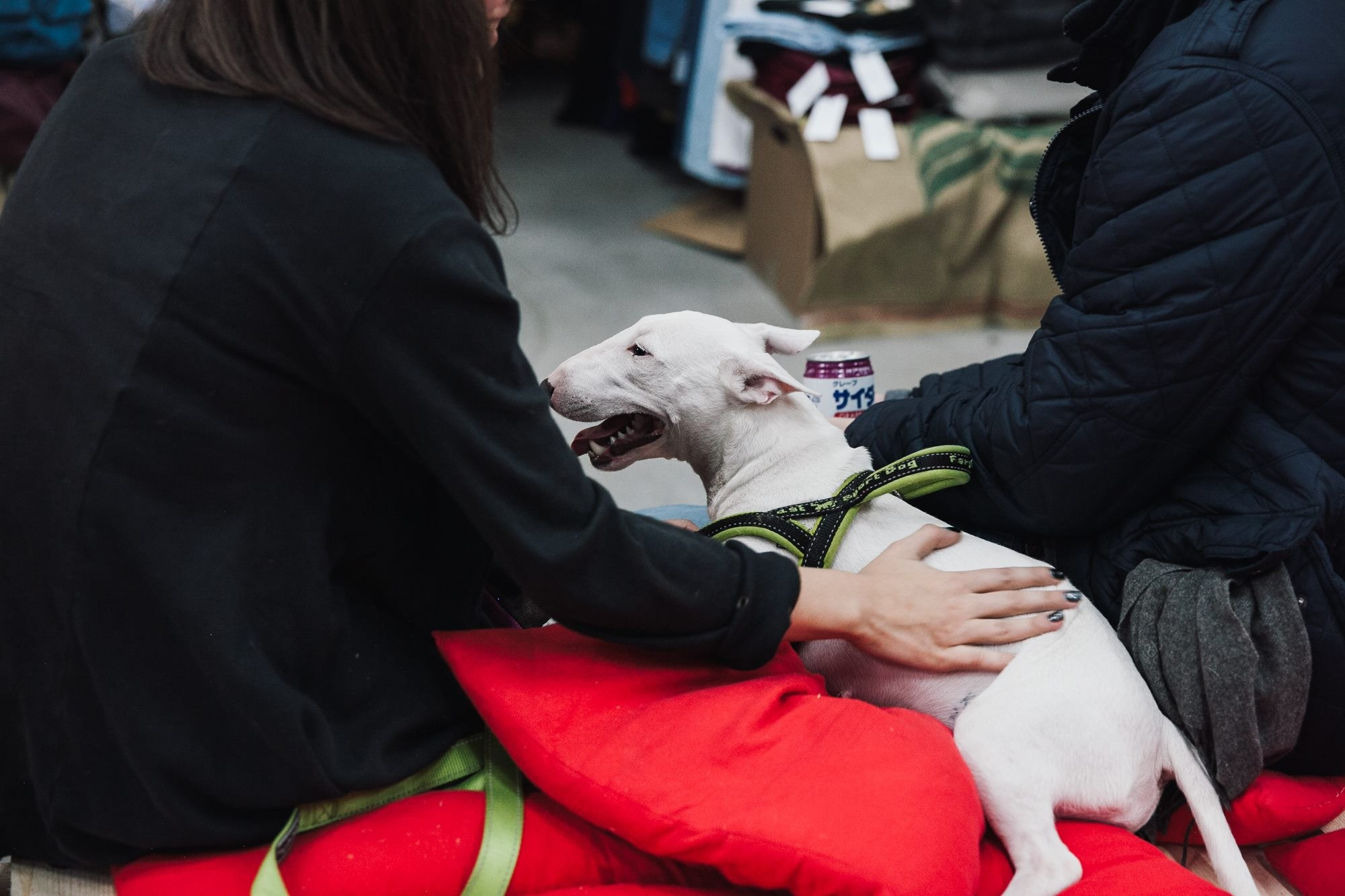 11–12 ноября 2017 / Трёхгорная мануфактура / День 1 / фото Людмила Савельева. Фотоотчеты «Ламбада-маркета»