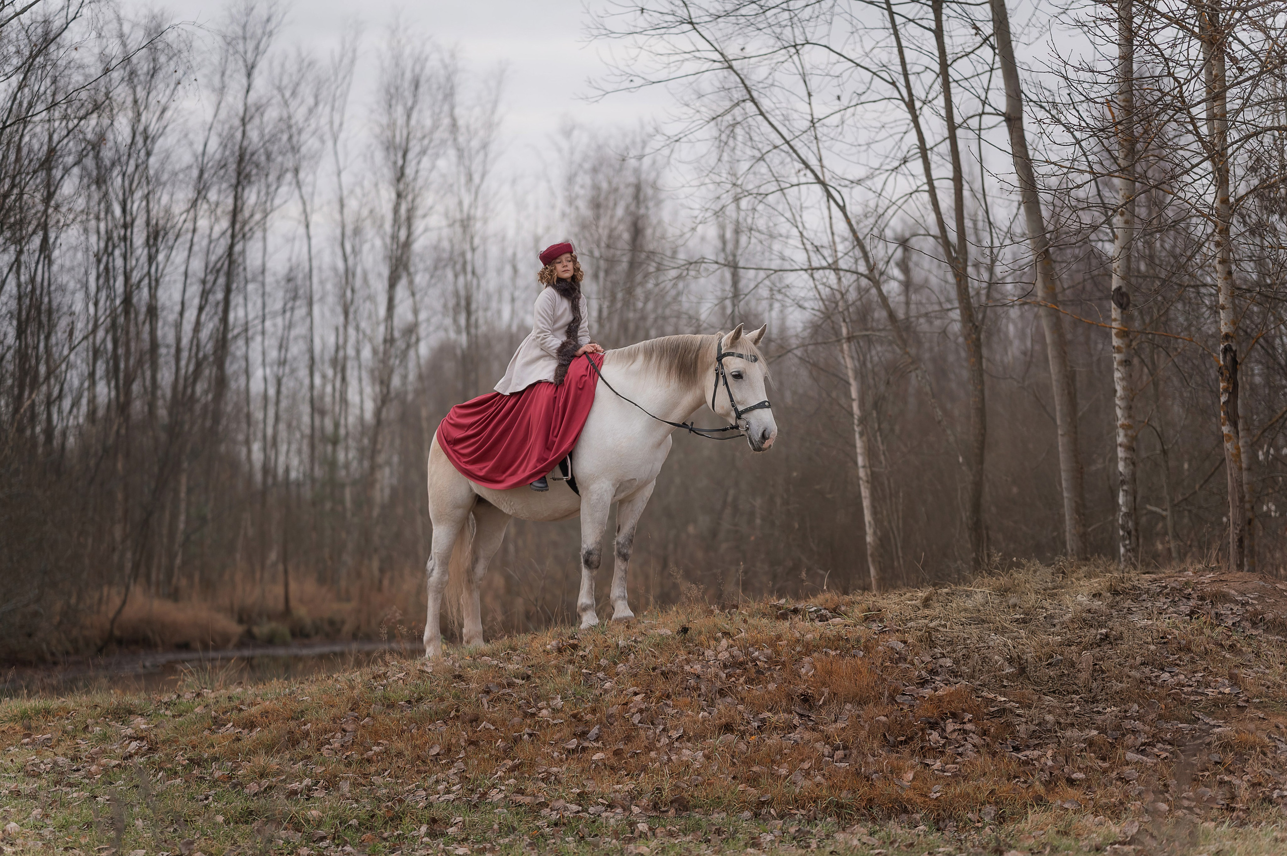 На коне. Детский и семейный фотограф Склярова Екатерина