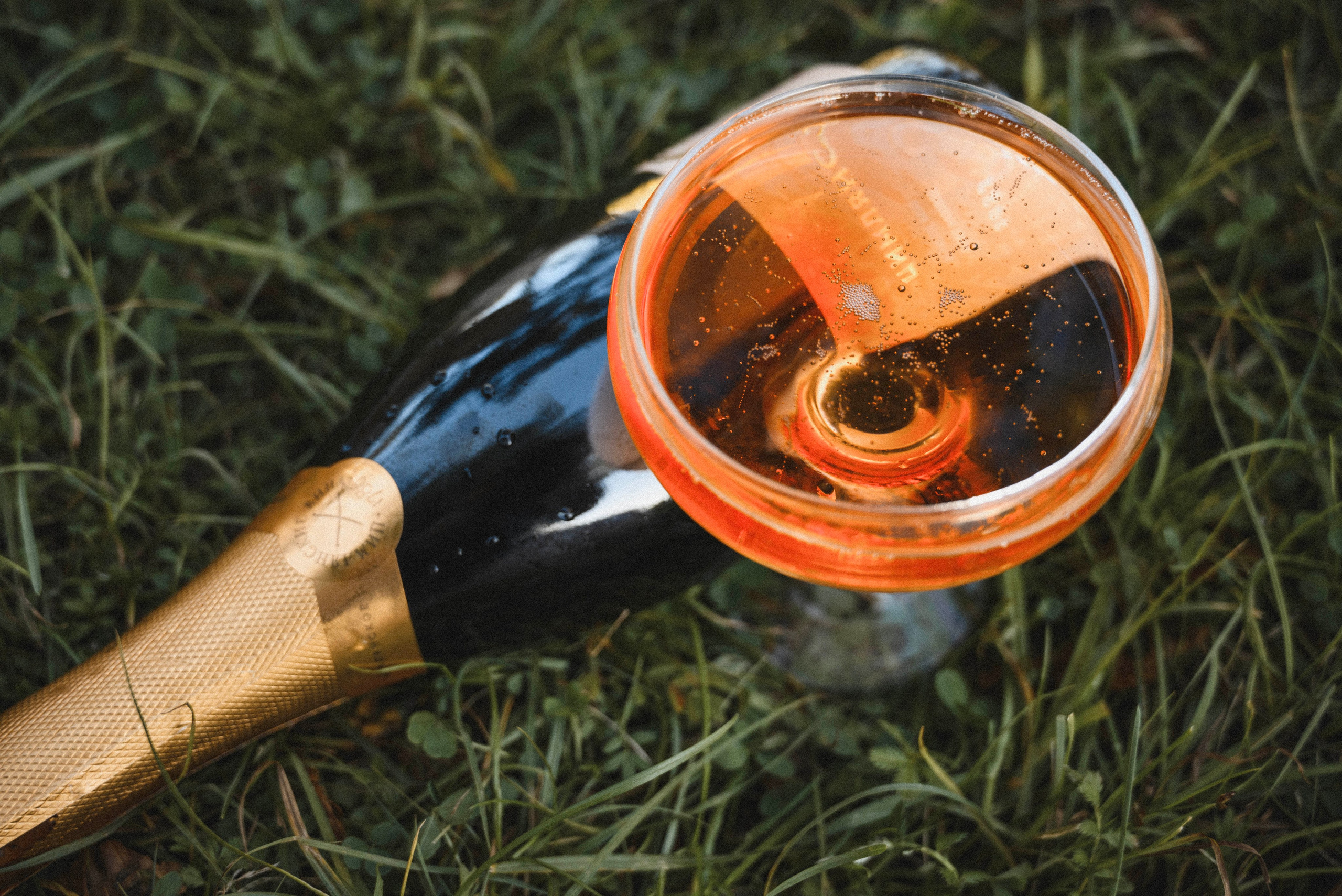 Пикник у озера. Фотограф в Санкт-Петербурге Анна Гончар