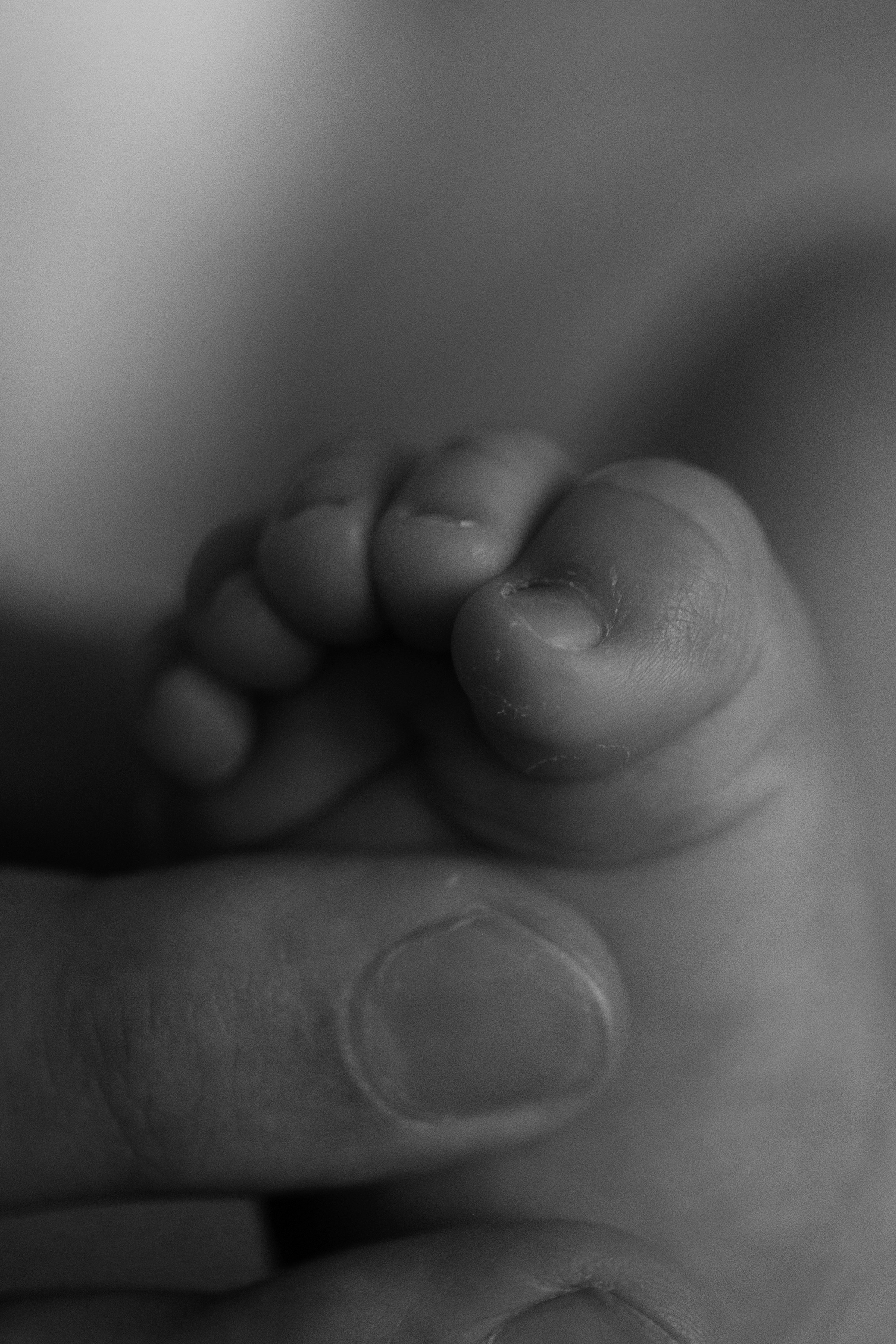 Саша, Рома и Костя. Свадебный фотограф | Москва