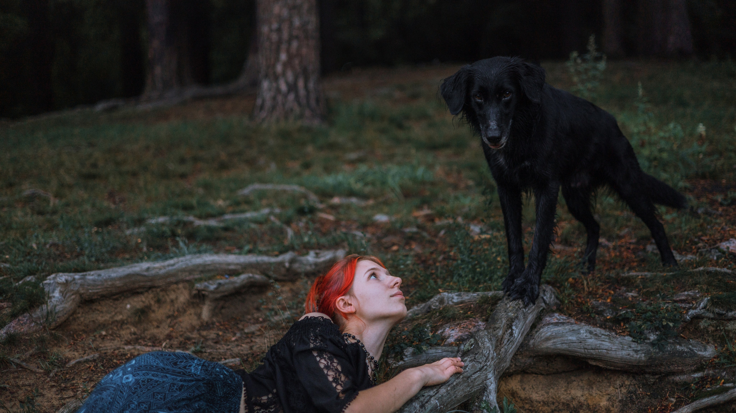 Лиза и Коди. Фотограф-анималист Богданова Полина