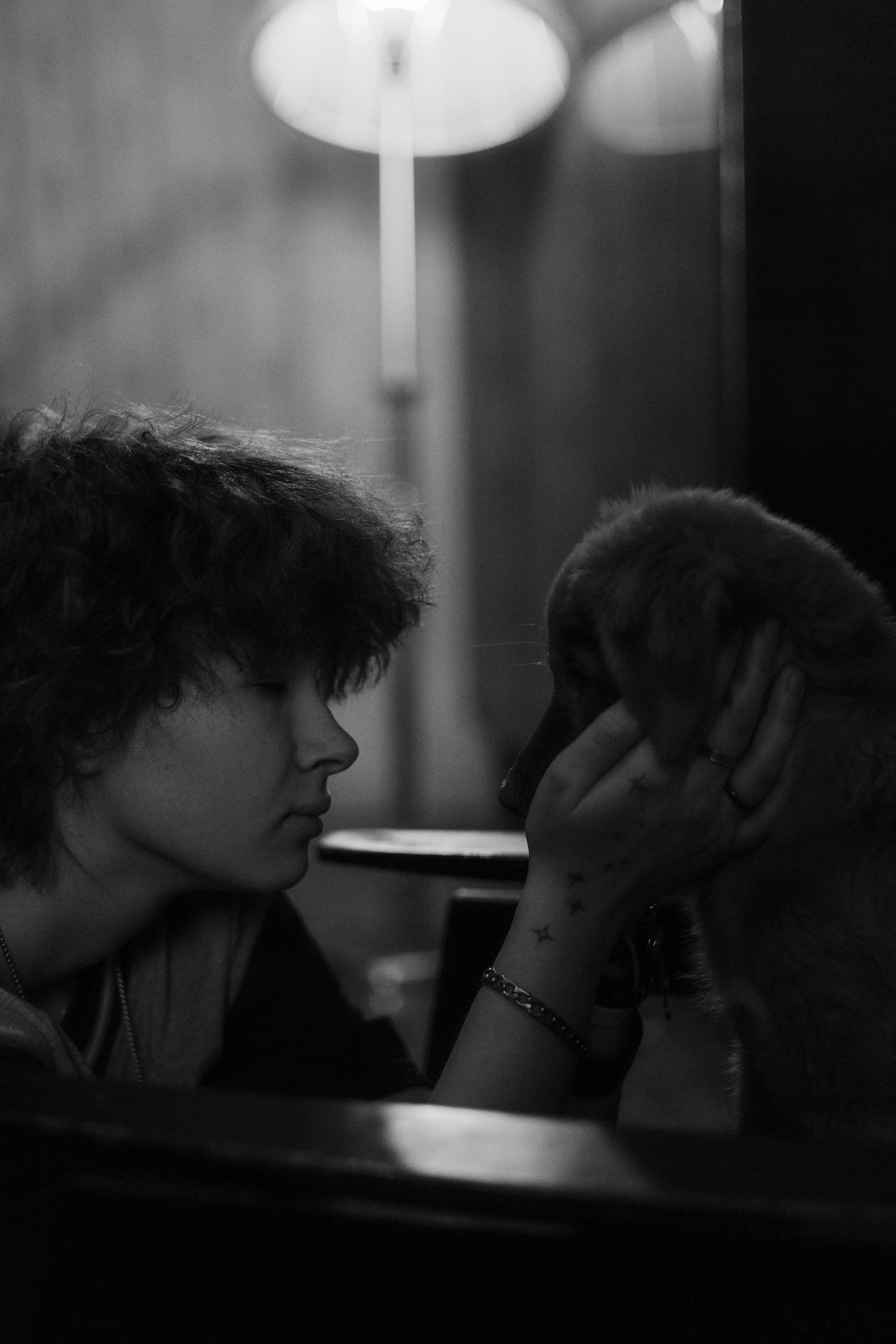 Лера, Реджи и Ральф. Фотограф-анималист Богданова Полина