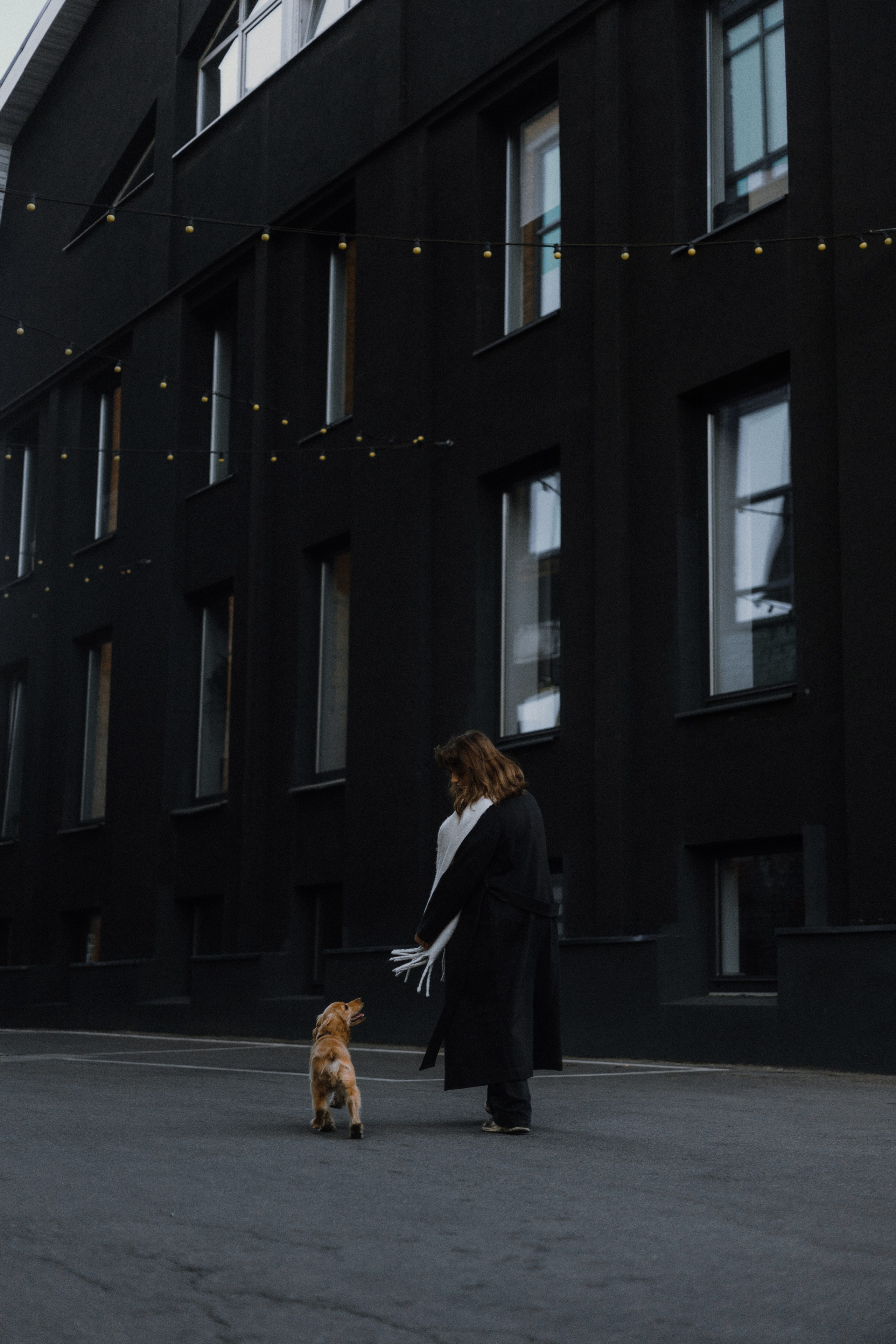 Аня, Андрей и Юта. Фотограф-анималист Богданова Полина