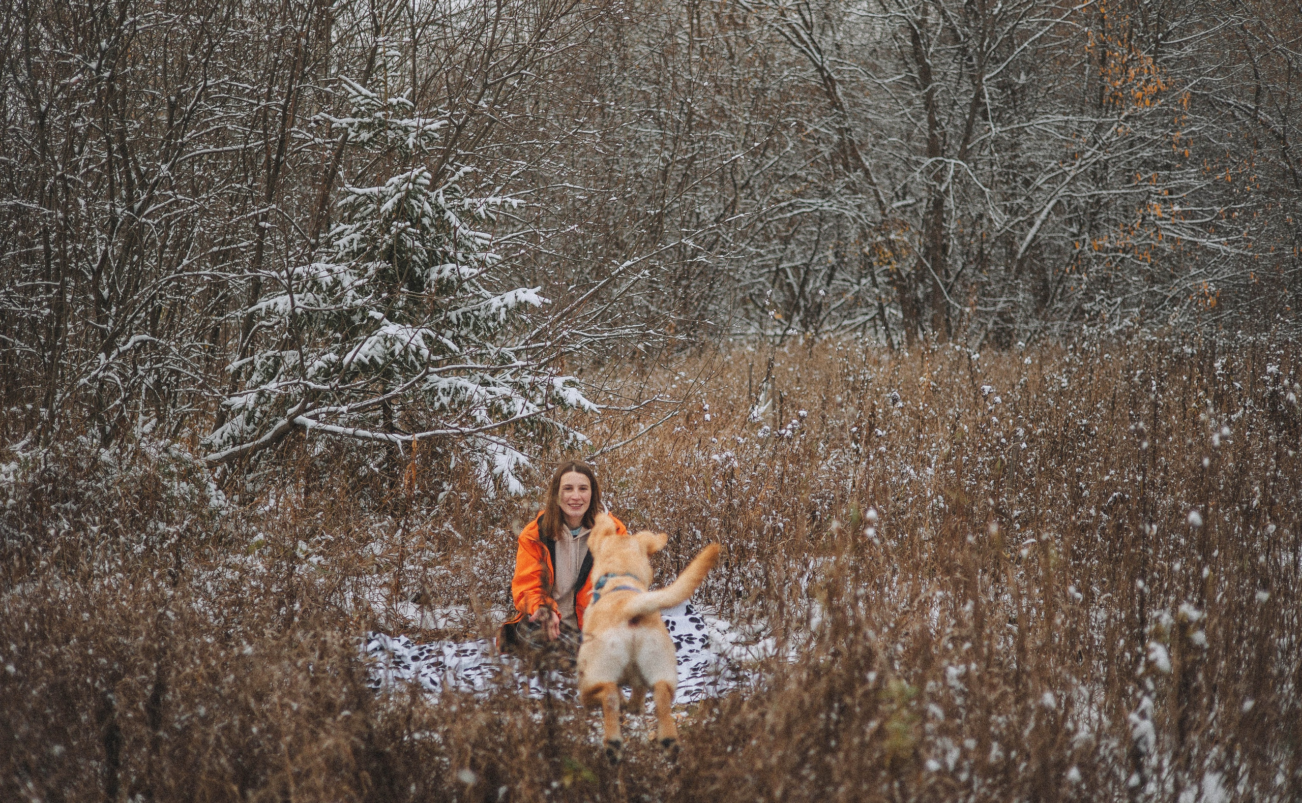 Маргарита и Варди. Фотограф-анималист Богданова Полина