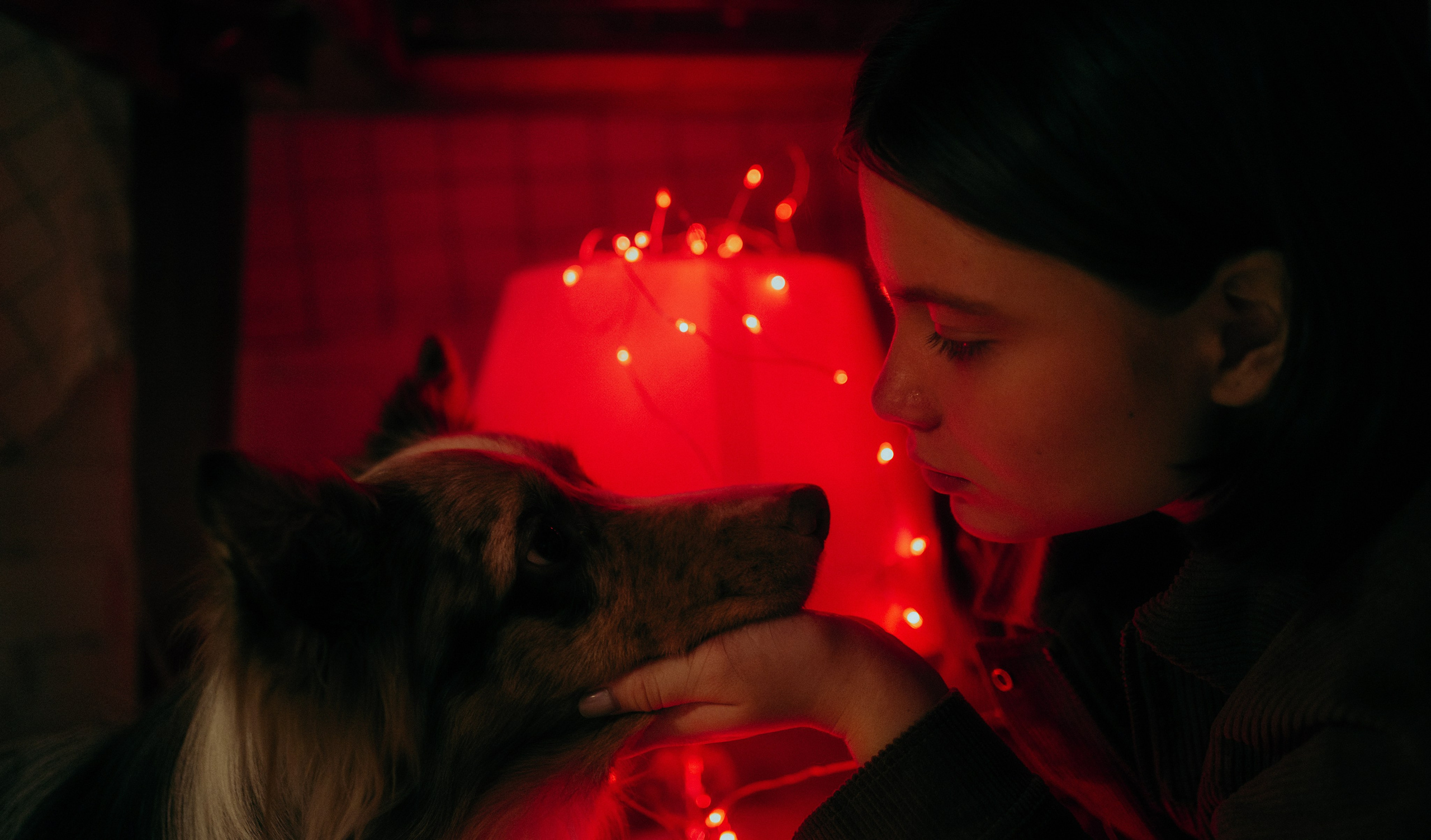 Аня и Дэймон. Фотограф-анималист Богданова Полина