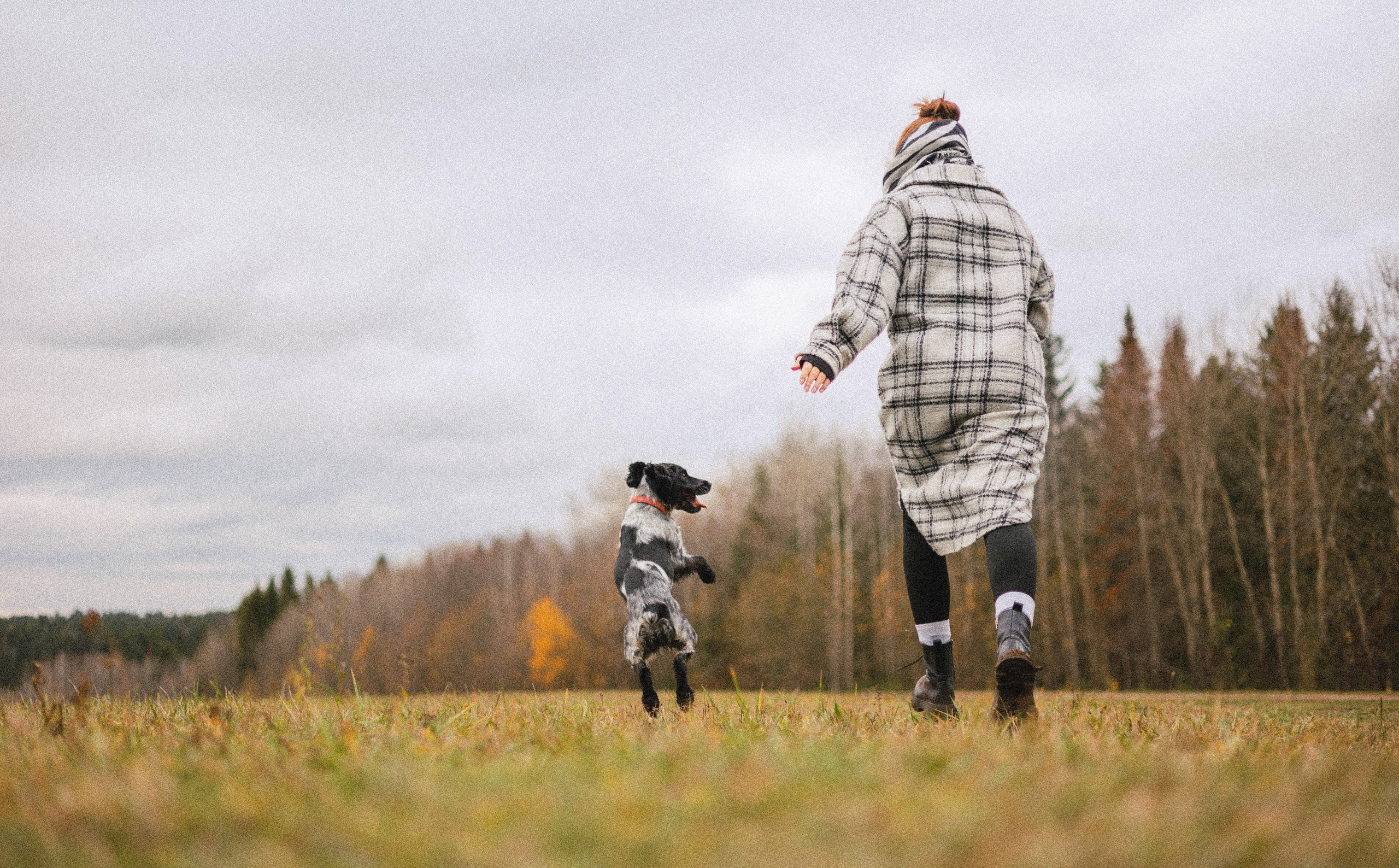Вика и Ава. Фотограф-анималист Богданова Полина