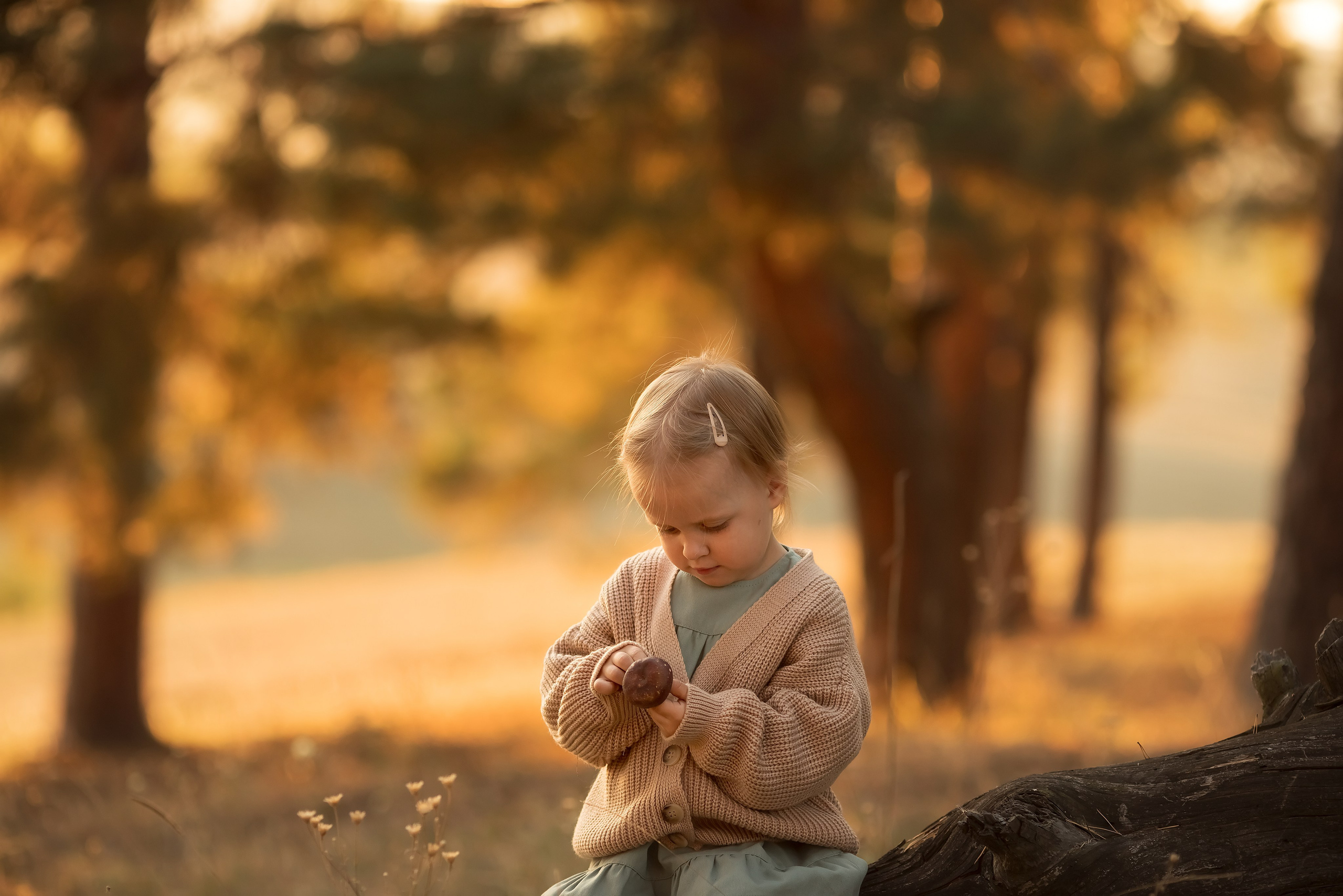 Лесная прогулка. Семейный и детский фотограф в Саратове Полина Коткина