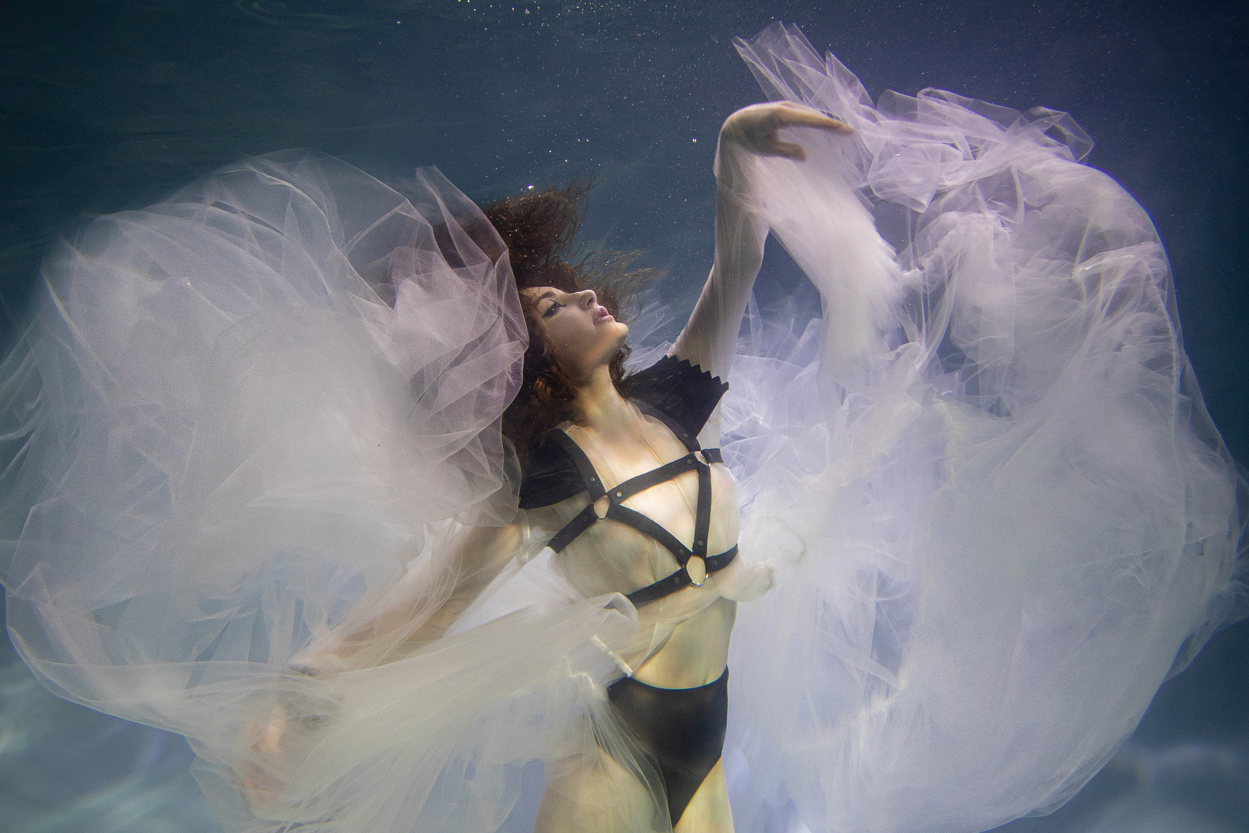 Аква общая. Марковкина КрисТина