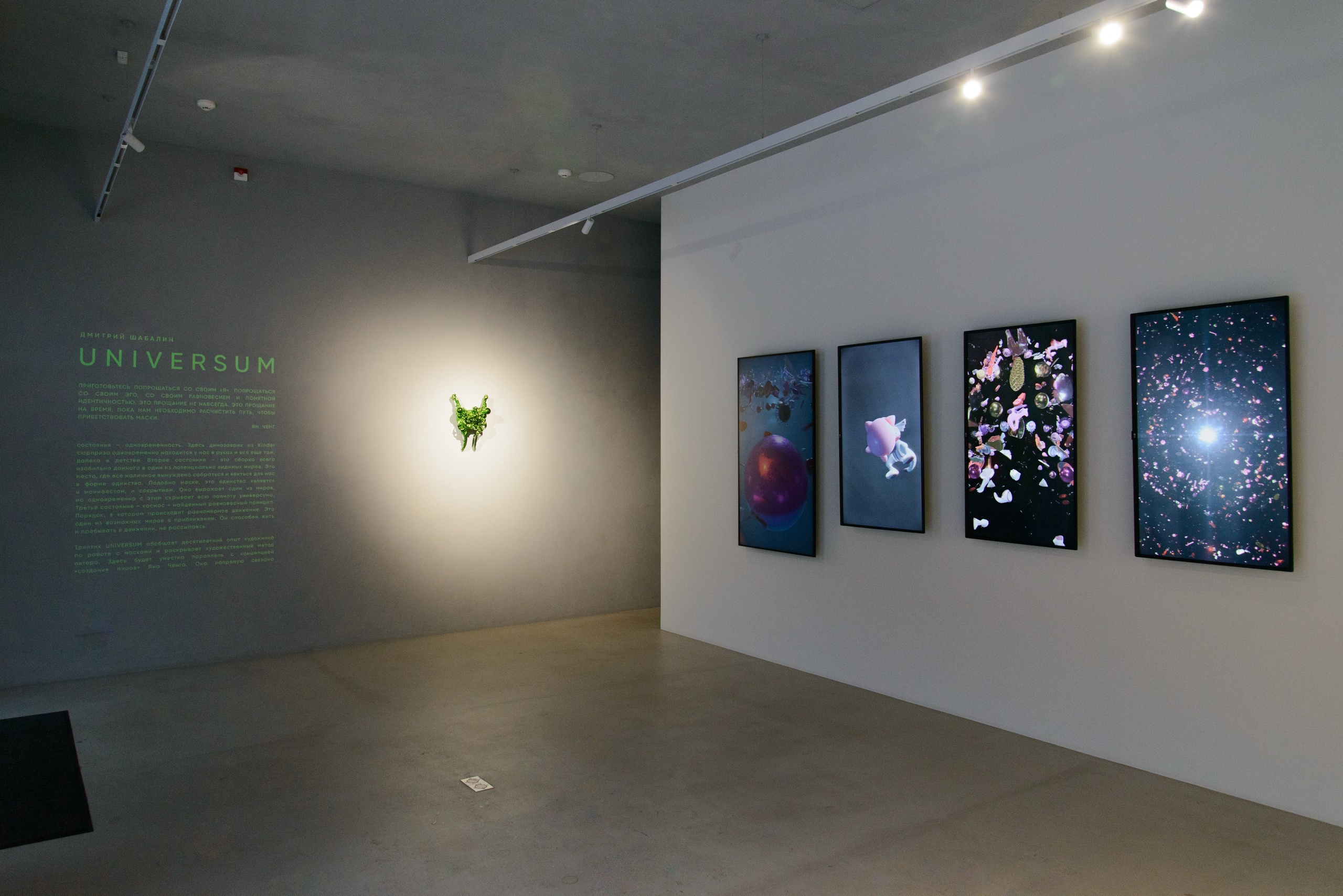 Universum. Anna Zavediy