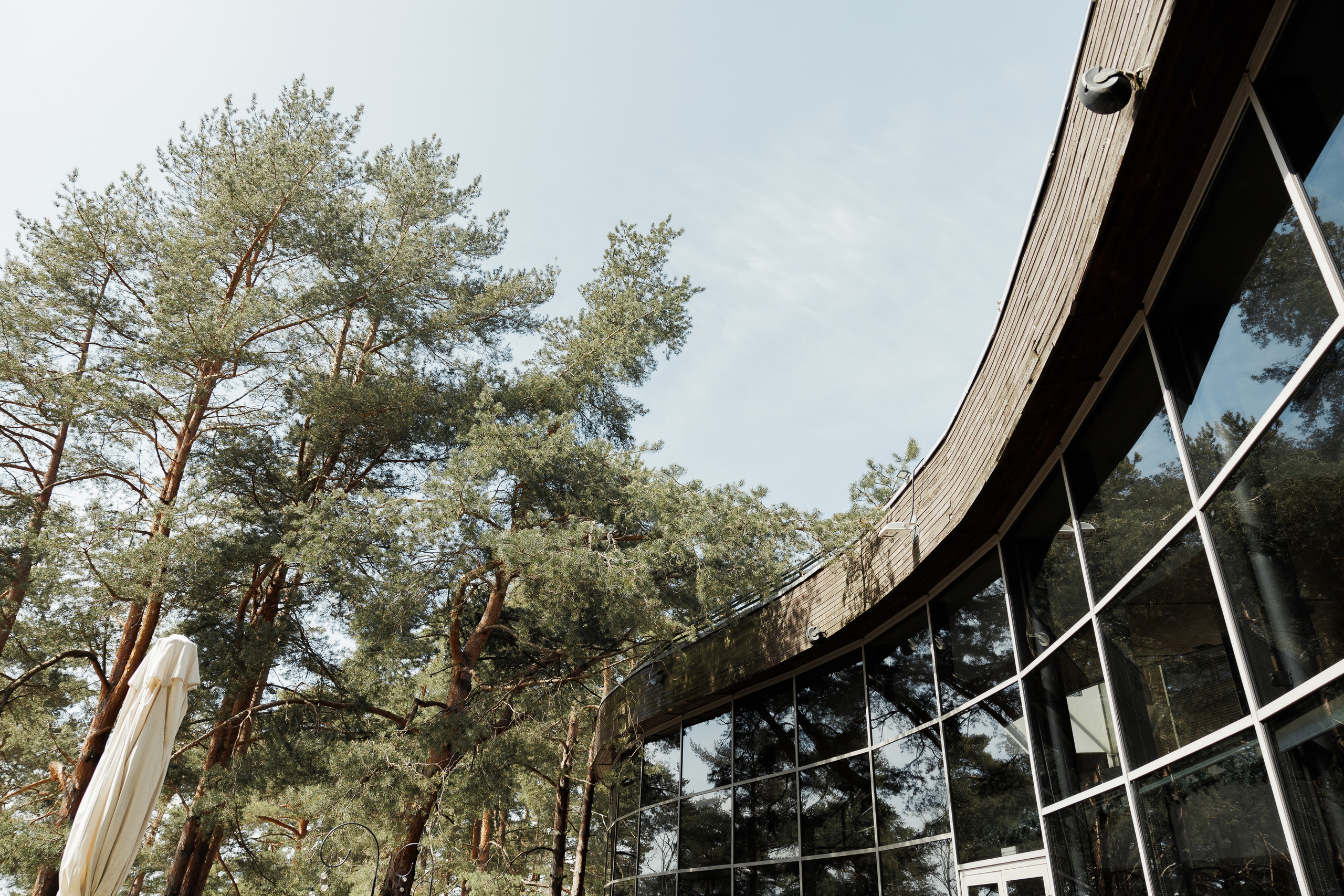 I Guess This Is Growing Up — Blink-182