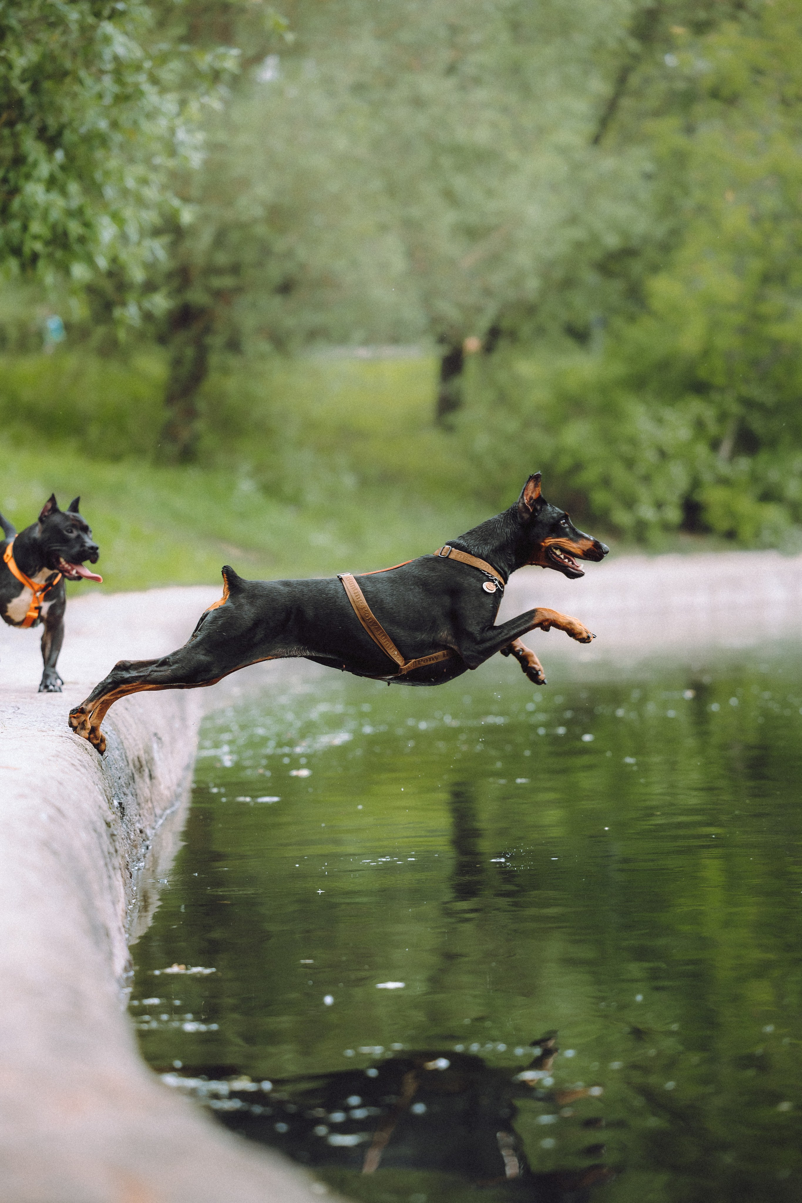 Паша, Хайди и Тея