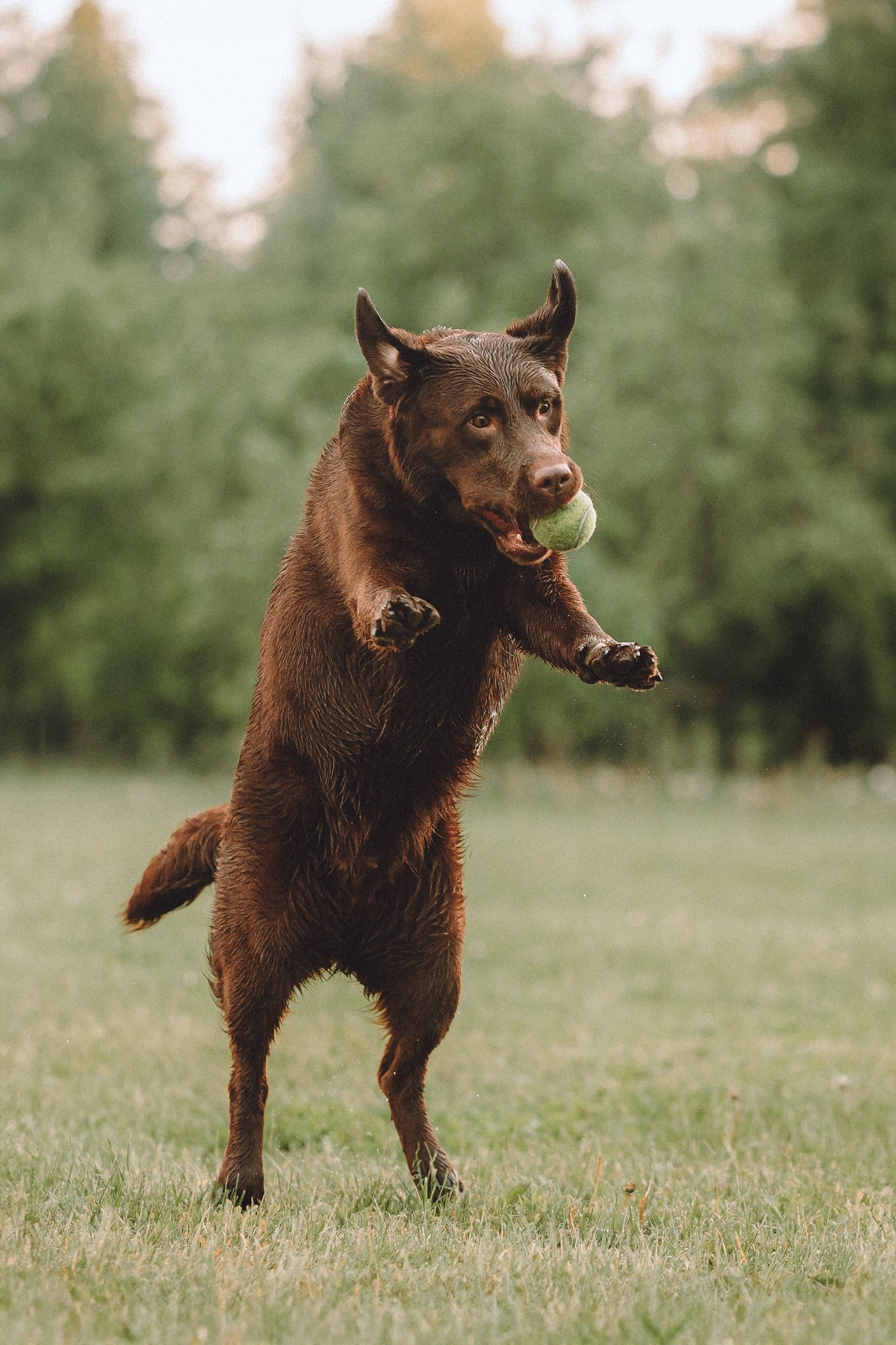 Катя, Ваня и Джеси