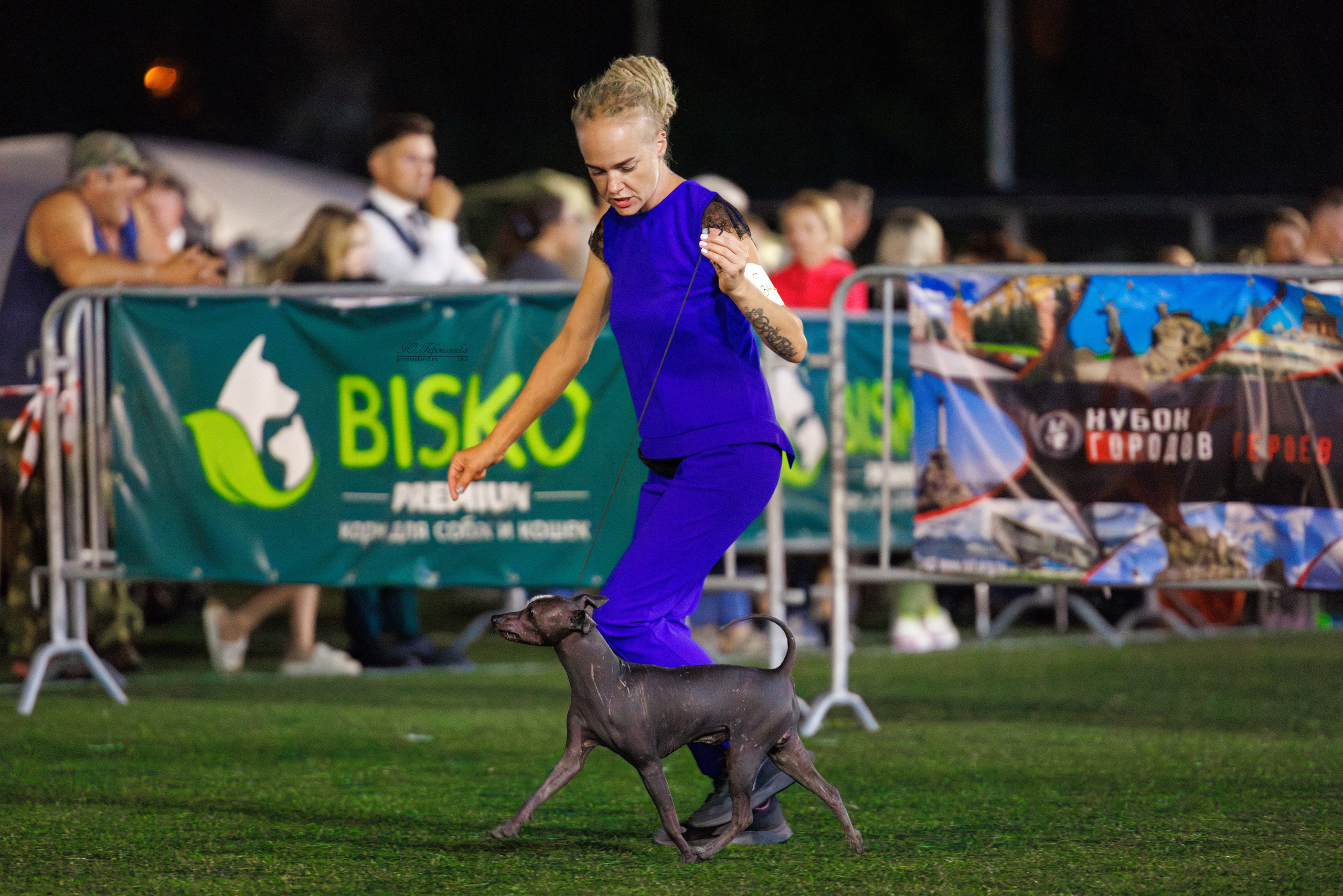 Волгоград 2-4.08.2024. Фотограф-анималист Юлия Германика