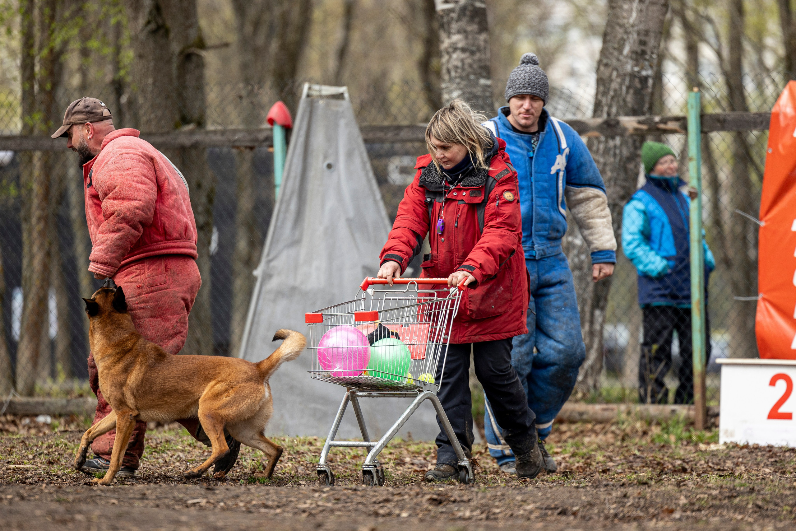 Квалификационные состязания по мондьорингу г. Вологда 11.05.24. Фотограф-анималист Анна Маринич