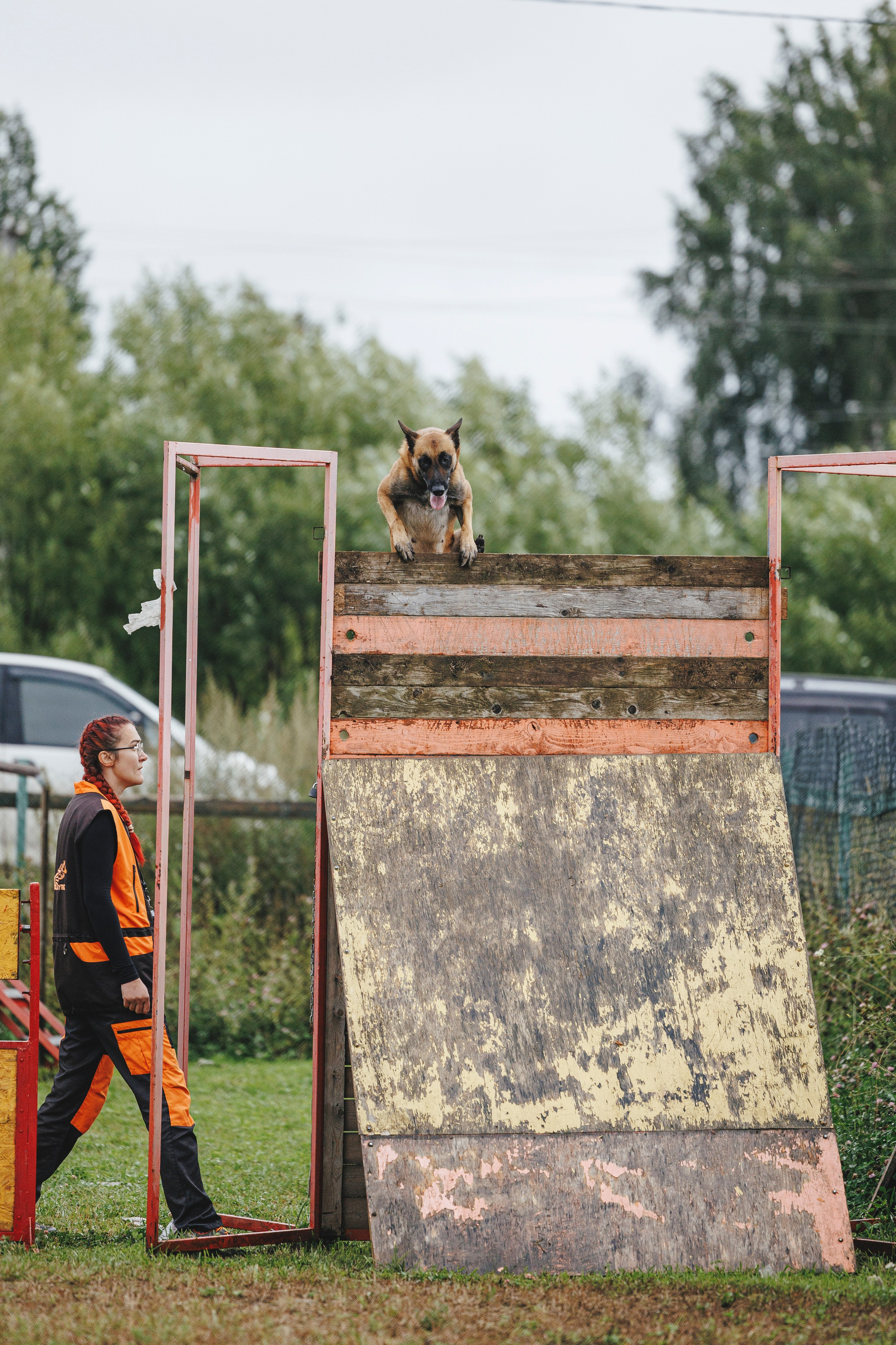 08.08.25-10.08.25 ЧР по мондьорингу г. Вологда. Фотограф-анималист Анна Маринич