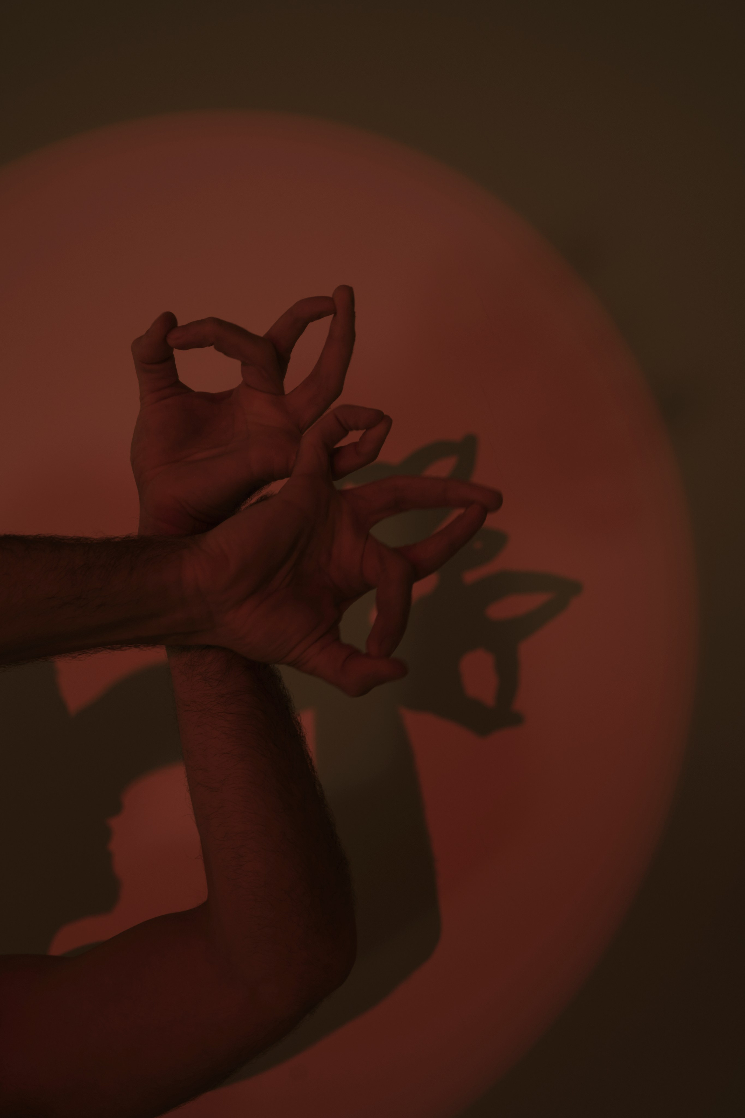 Mokshi. Фотограф Настя Лев