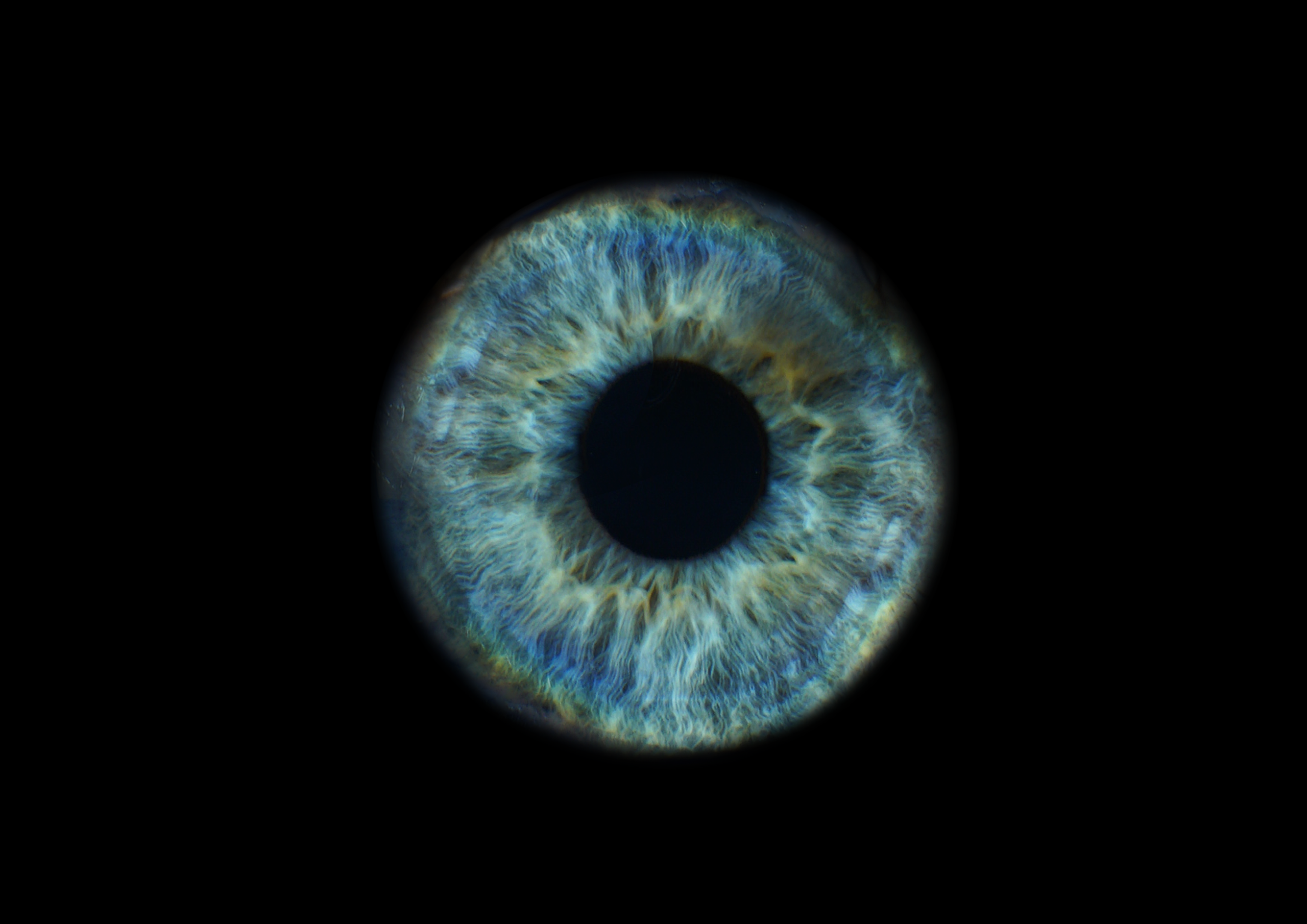 Екатерина 11022000. ShowLab