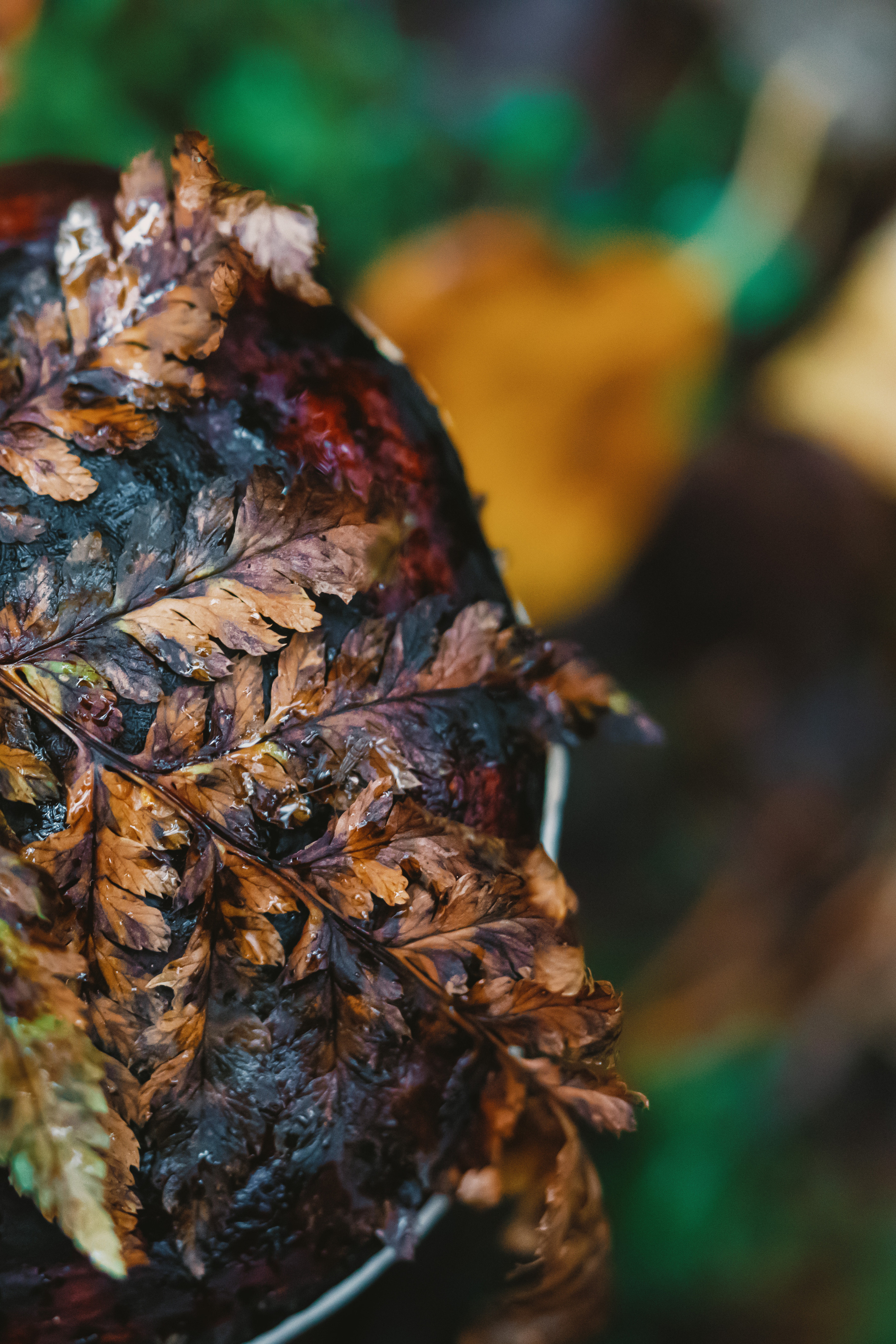 Карелия. Фотографии Дмитрия Чернова