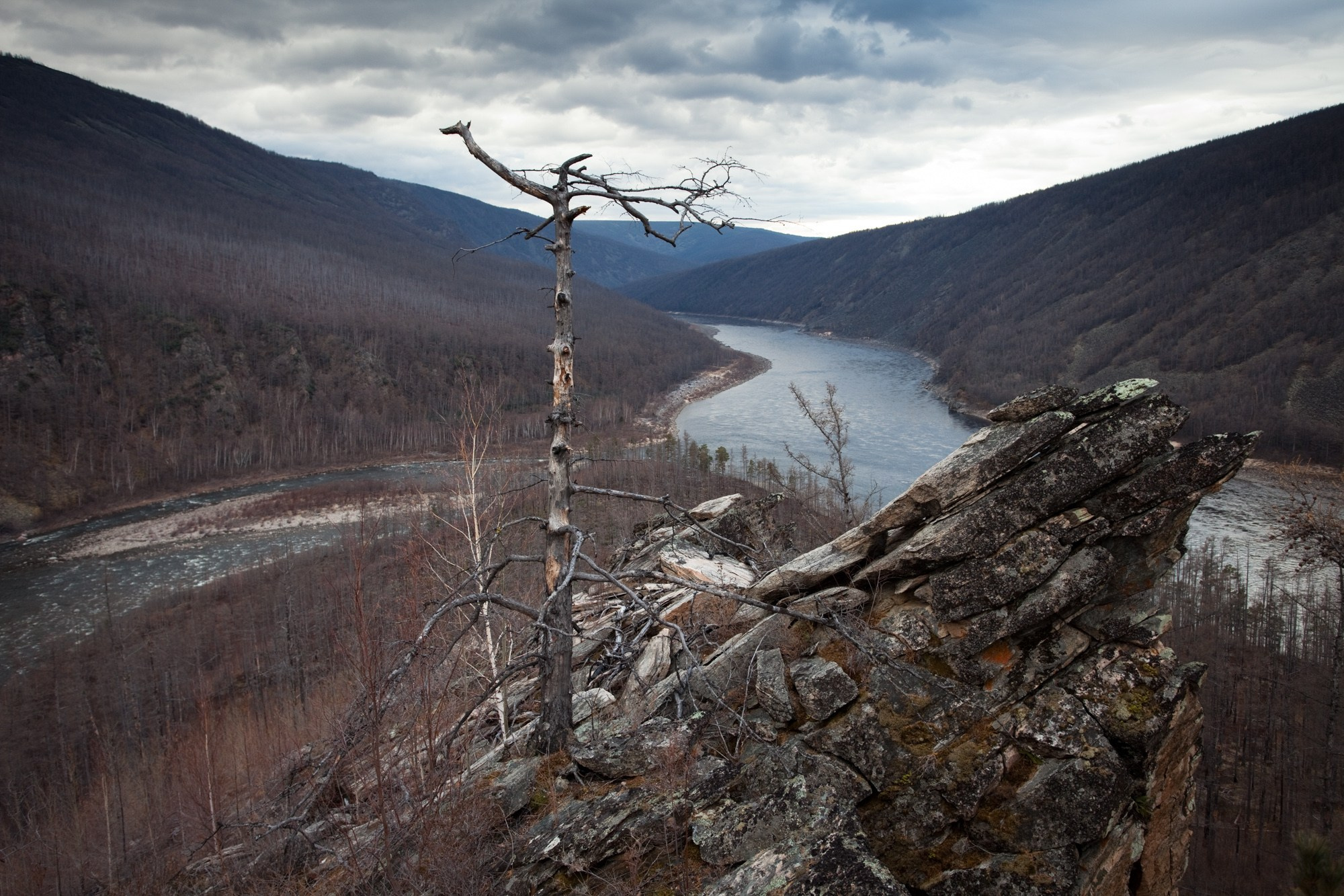 Фотограф Алексей Скоробогатько