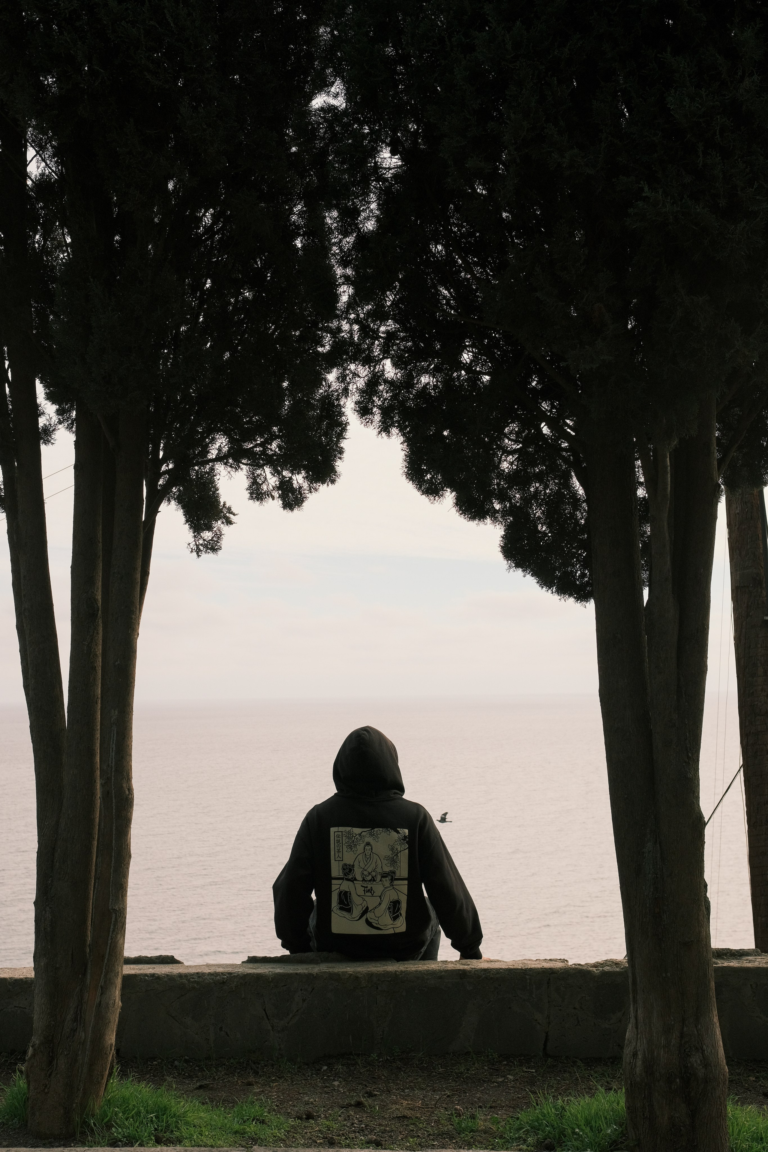 Fine & Summer Jam. Фотограф, видеограф в Санкт-Петербурге