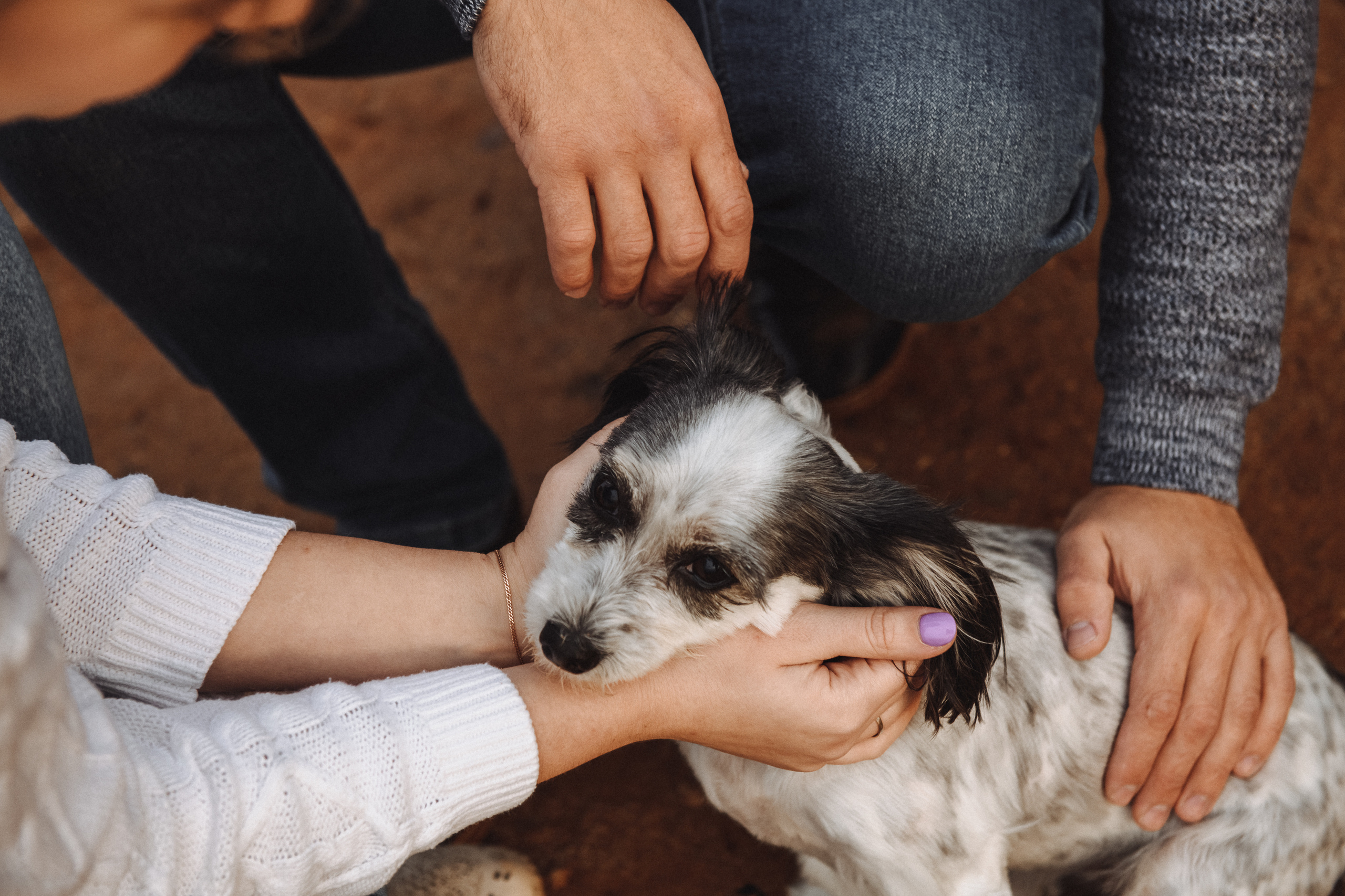 Чувственная фотосессия в лесу. Свадебный и семейный фотограф в Котласе Никита Попов