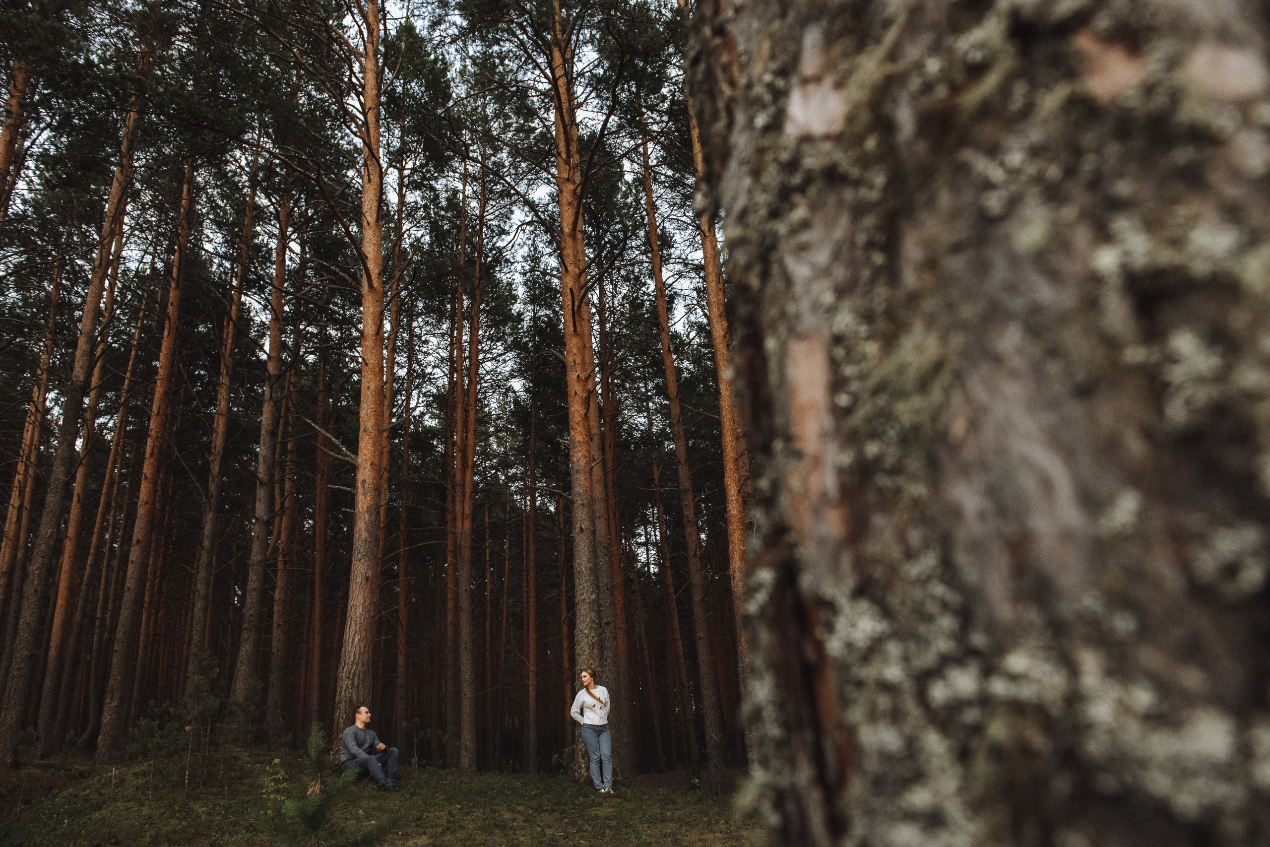 Чувственная фотосессия в лесу. Свадебный и семейный фотограф в Котласе Никита Попов