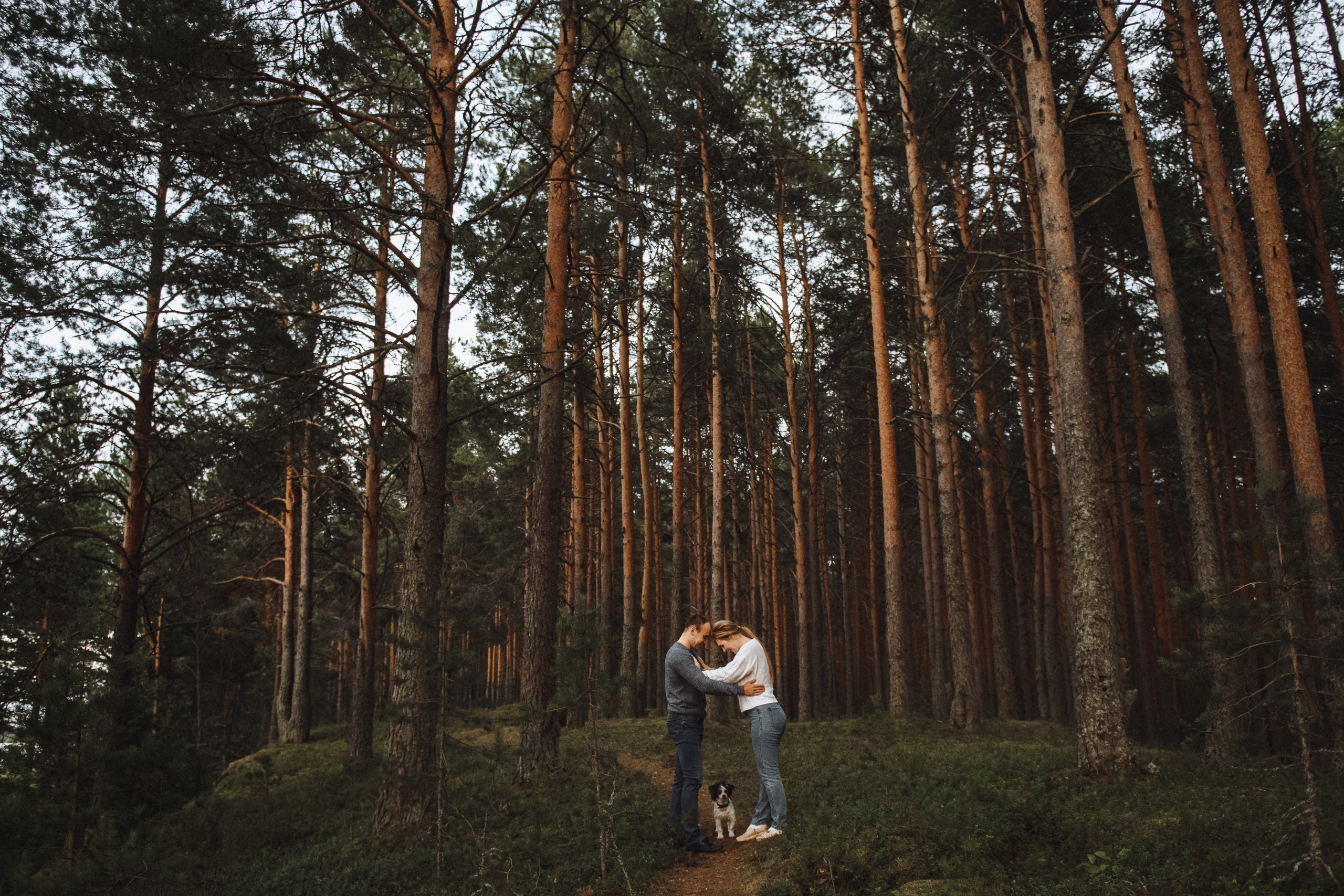 Чувственная фотосессия в лесу. Свадебный и семейный фотограф в Котласе Никита Попов