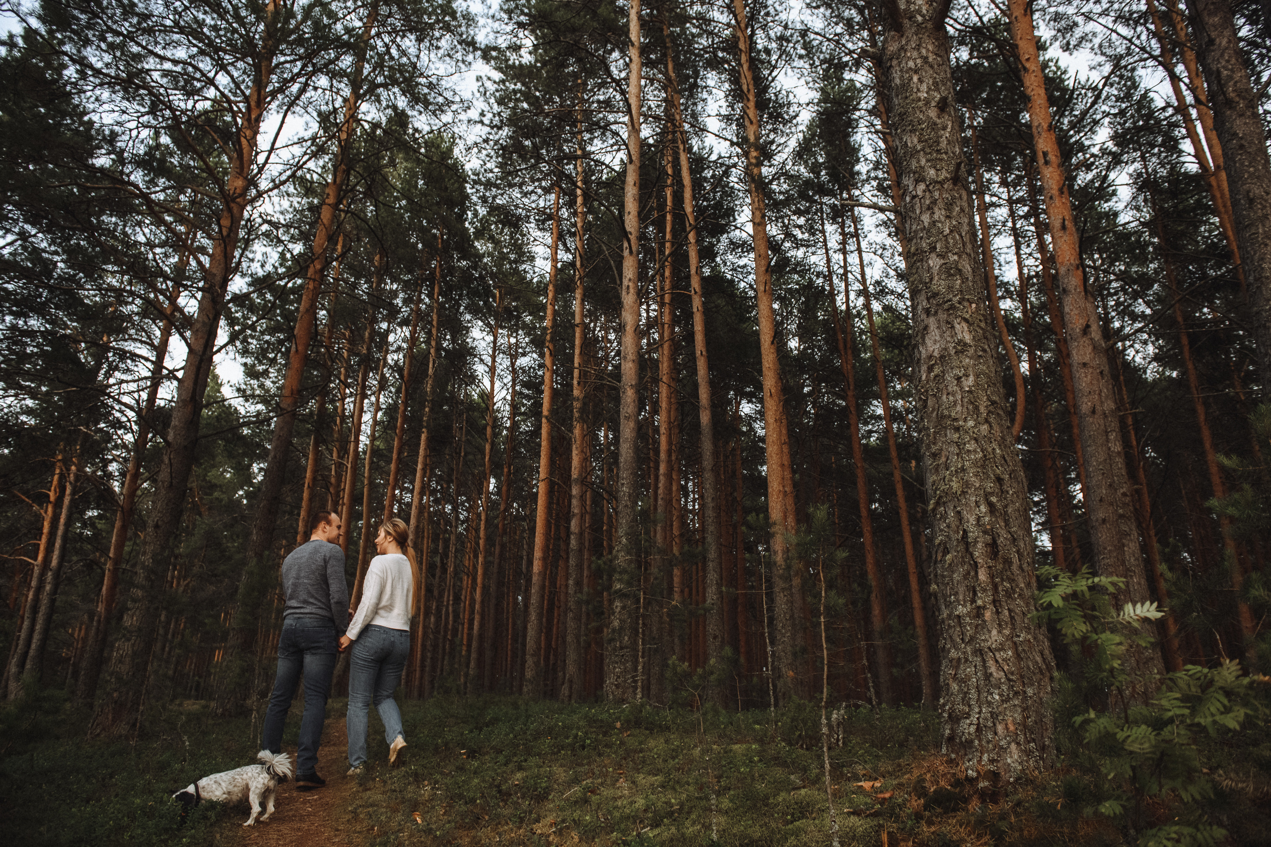Чувственная фотосессия в лесу. Свадебный и семейный фотограф в Котласе Никита Попов