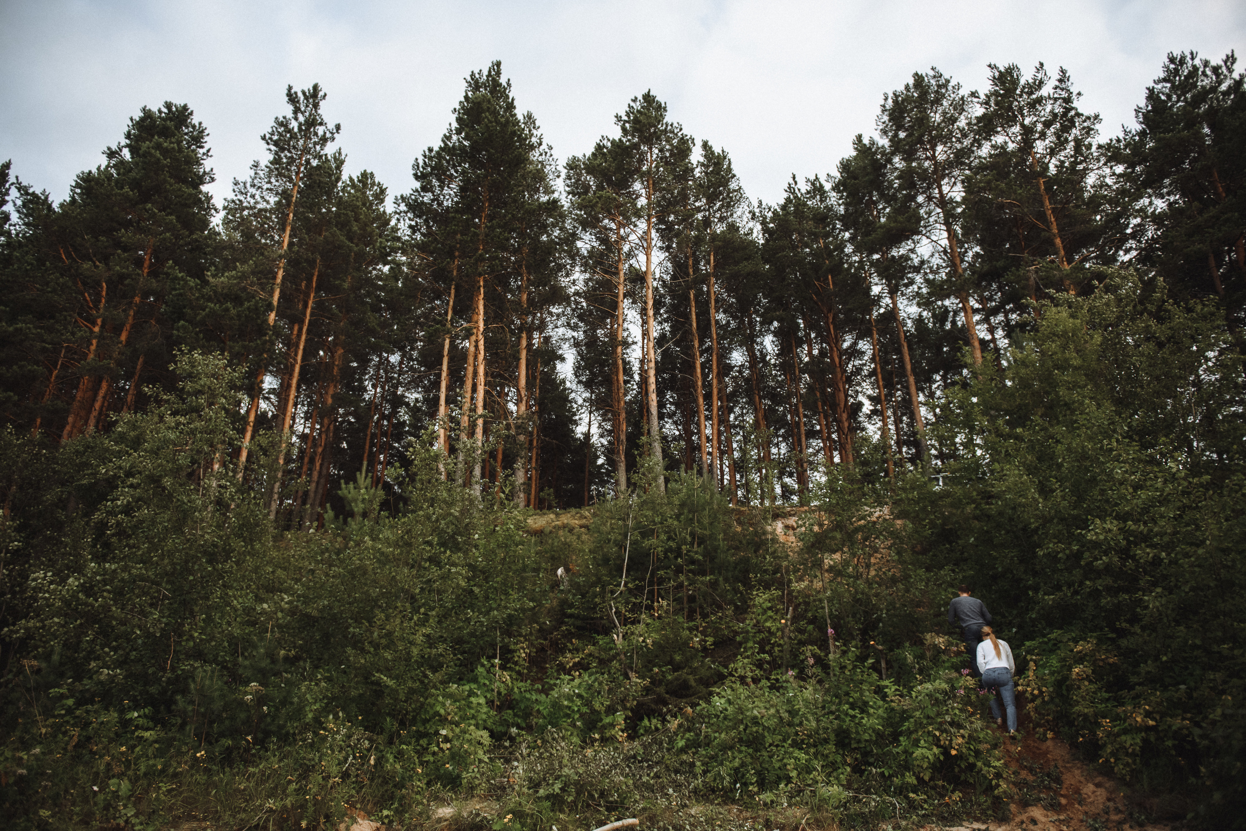 Чувственная фотосессия в лесу. Свадебный и семейный фотограф в Котласе Никита Попов