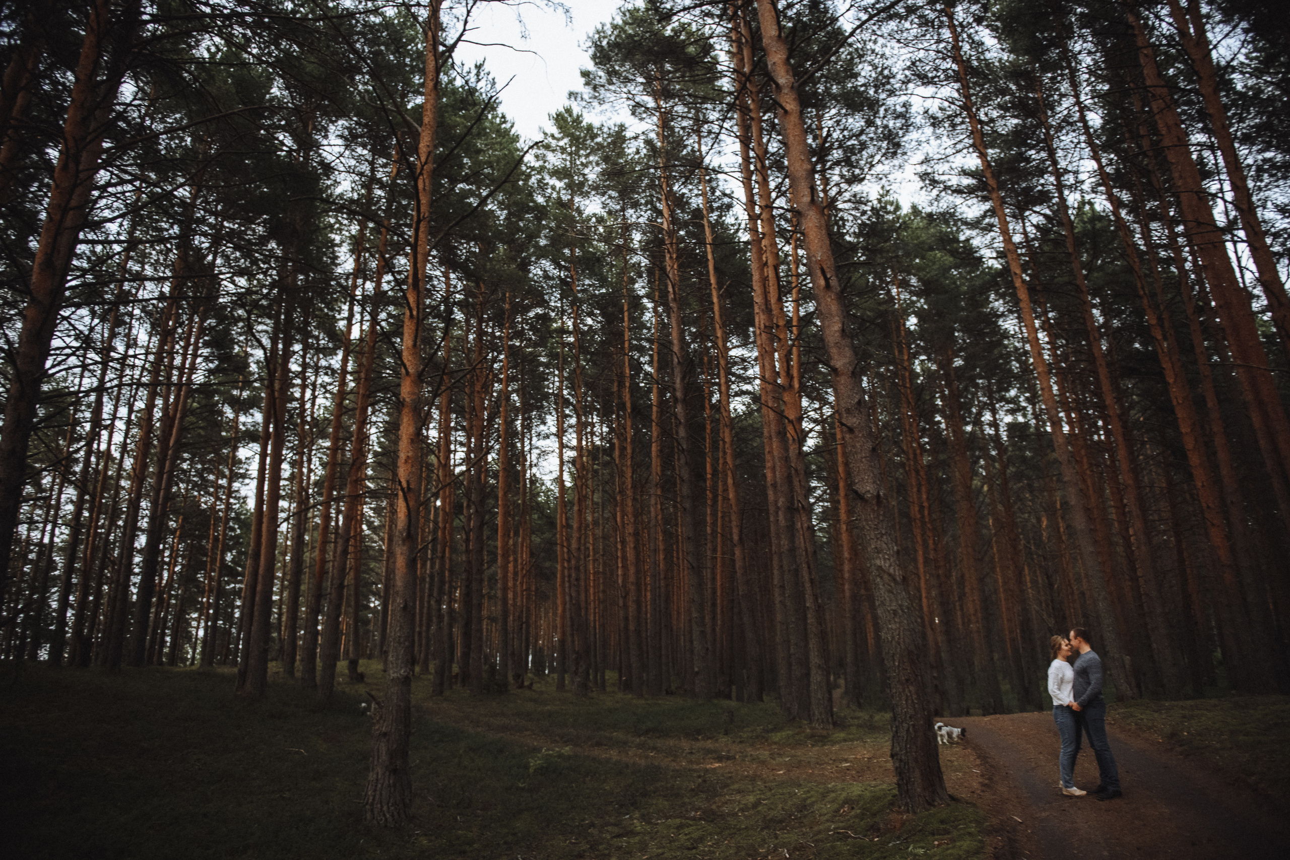 Чувственная фотосессия в лесу. Свадебный и семейный фотограф в Котласе Никита Попов