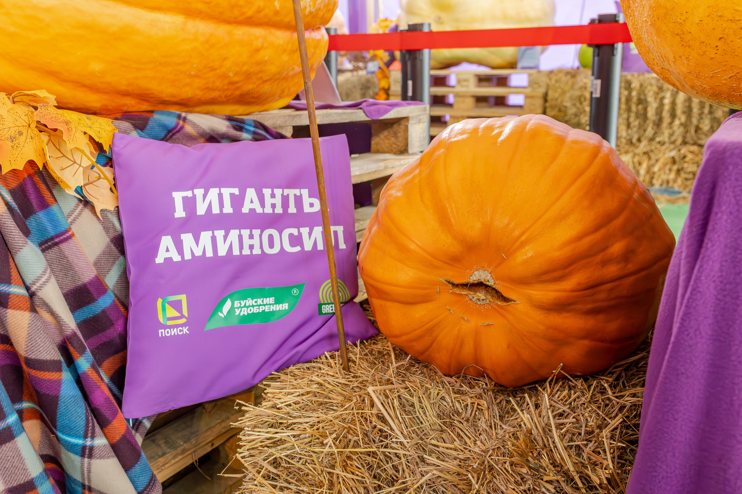 Овощи-гиганты. Александра Куликова фотограф, Москва