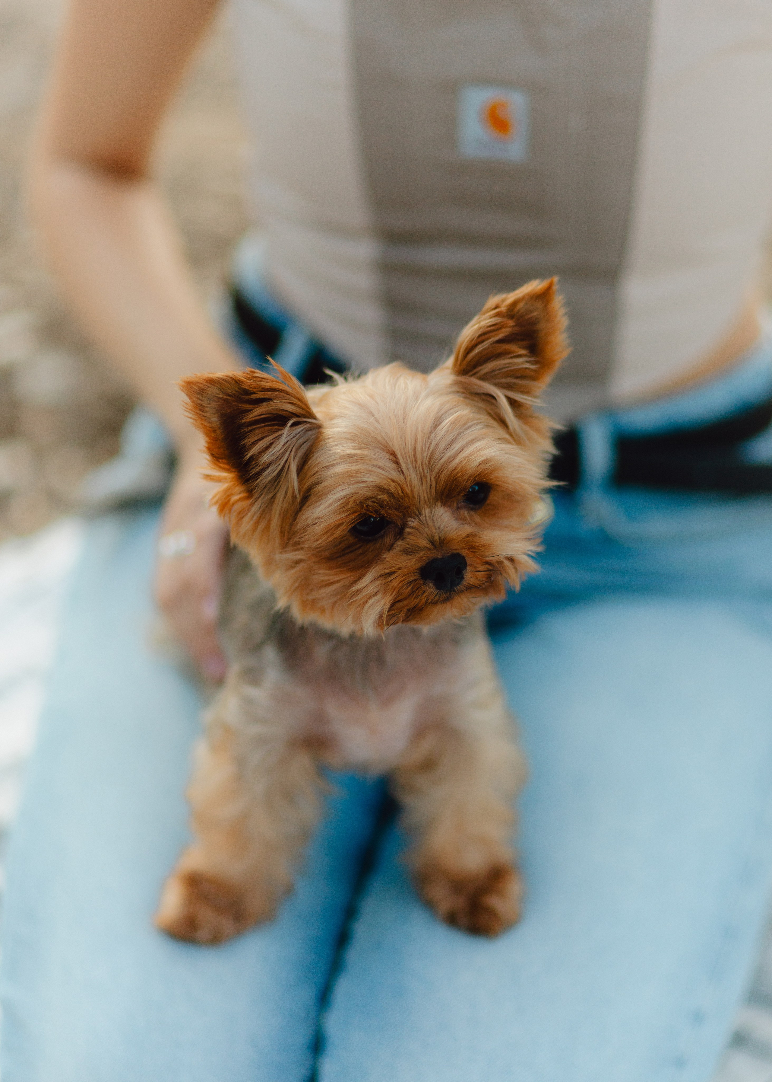 Julia & Her Playful Stitch. Barbara Isaeva