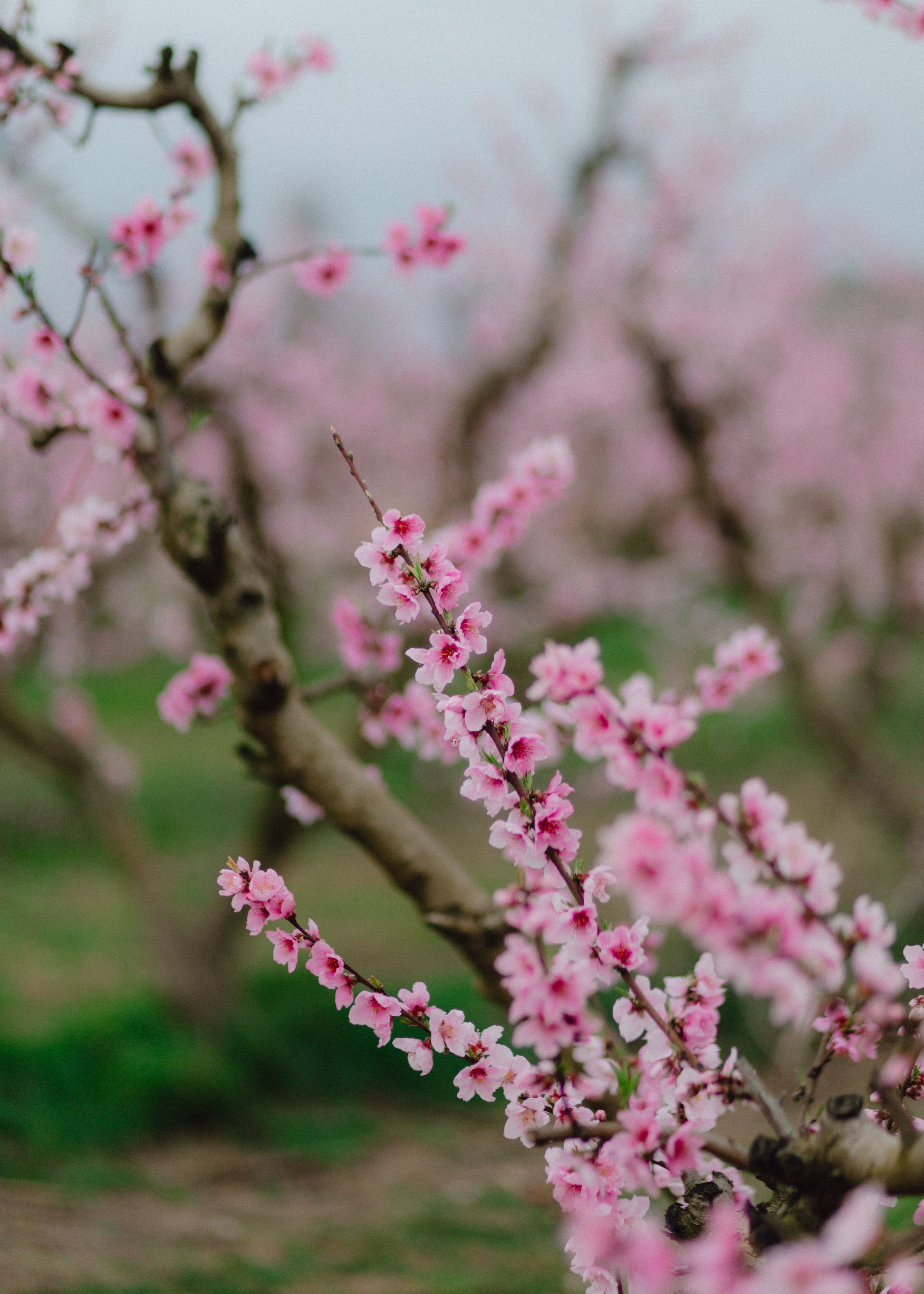 Sasha & Anton. Barbara Isaeva