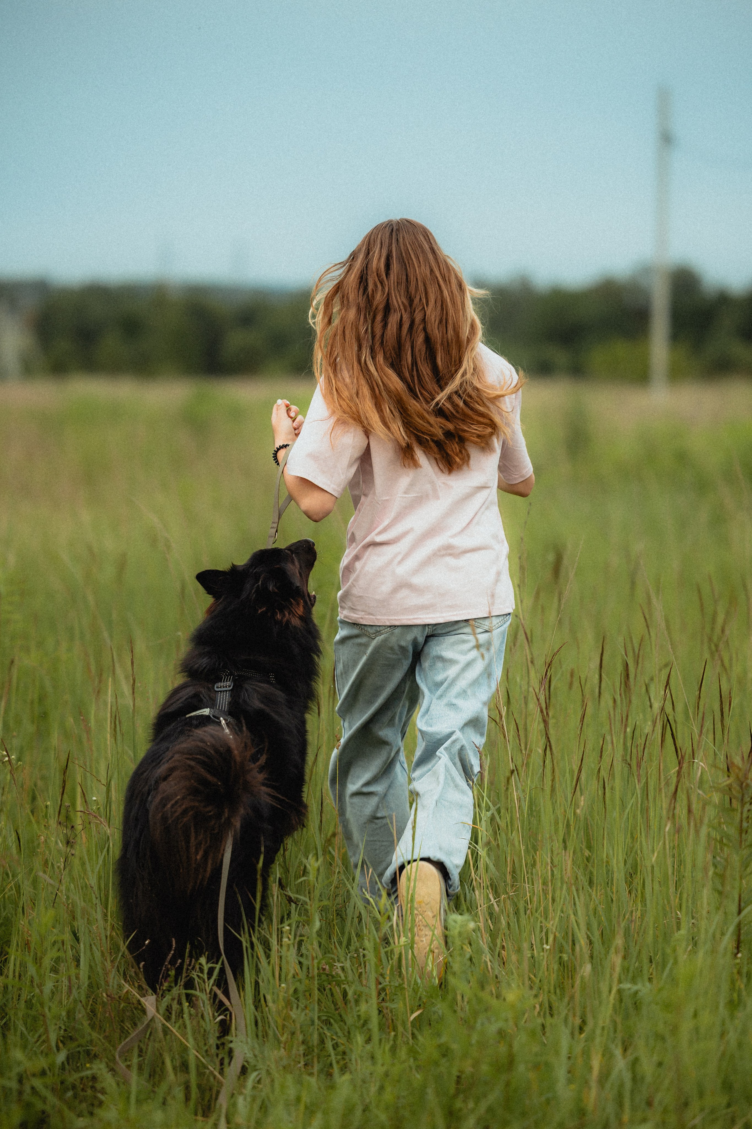Выездной дог-тренинг от школы «Шерсть имею»