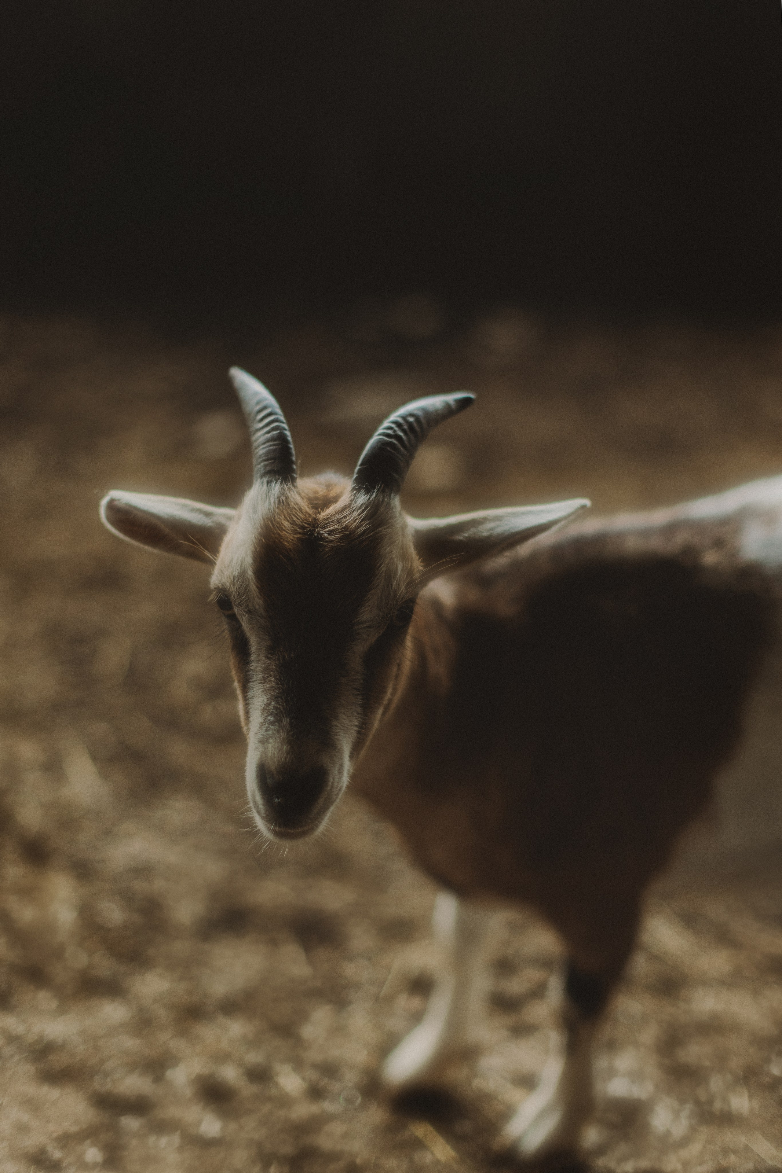 Золушка. Портретный фотограф Уфа Москва Санкт-Петербург Lulu Weightless