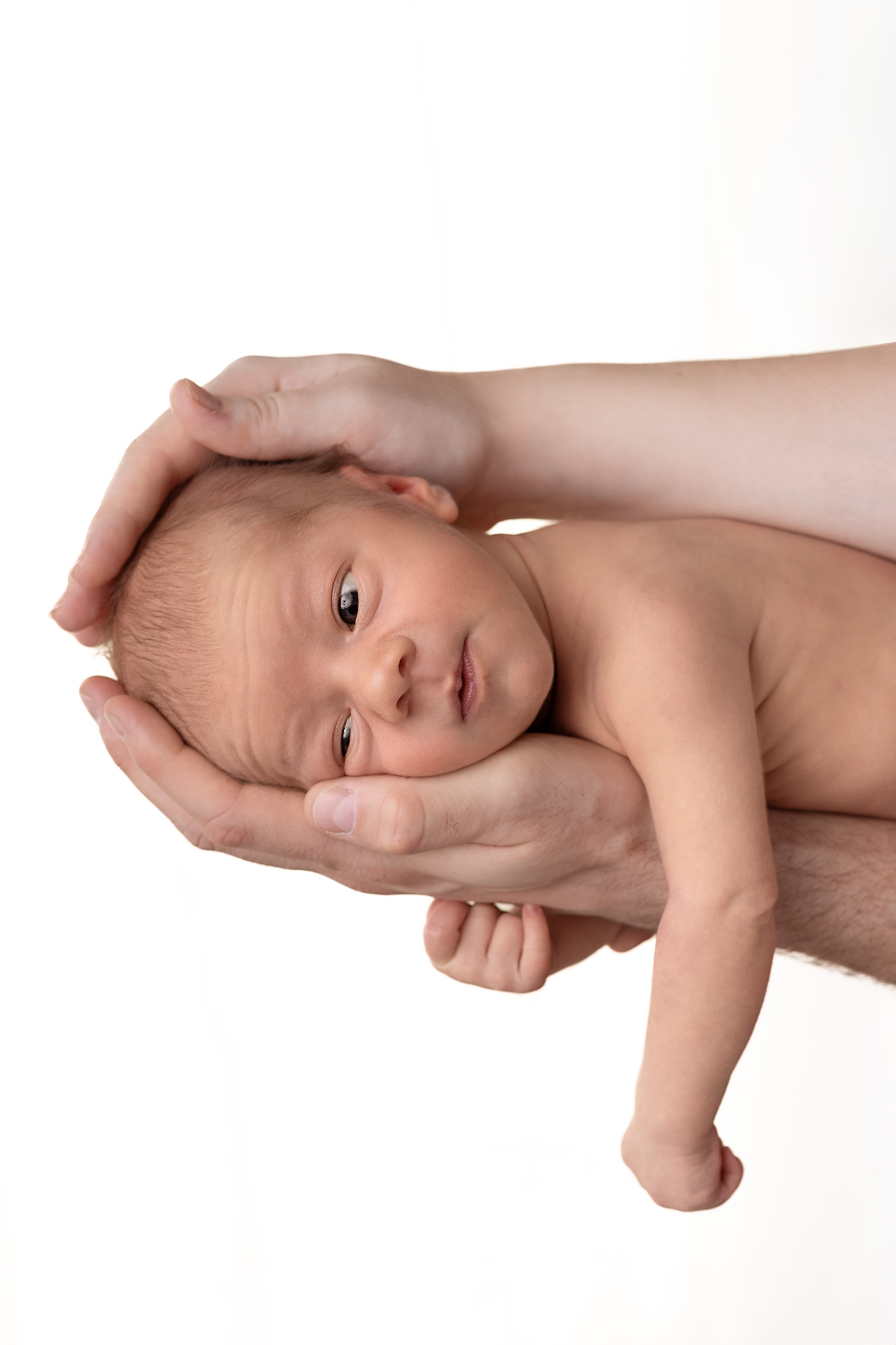 Лев. Ольга SHREIBICUS — Фотография беременности и новорожденных Оренбург