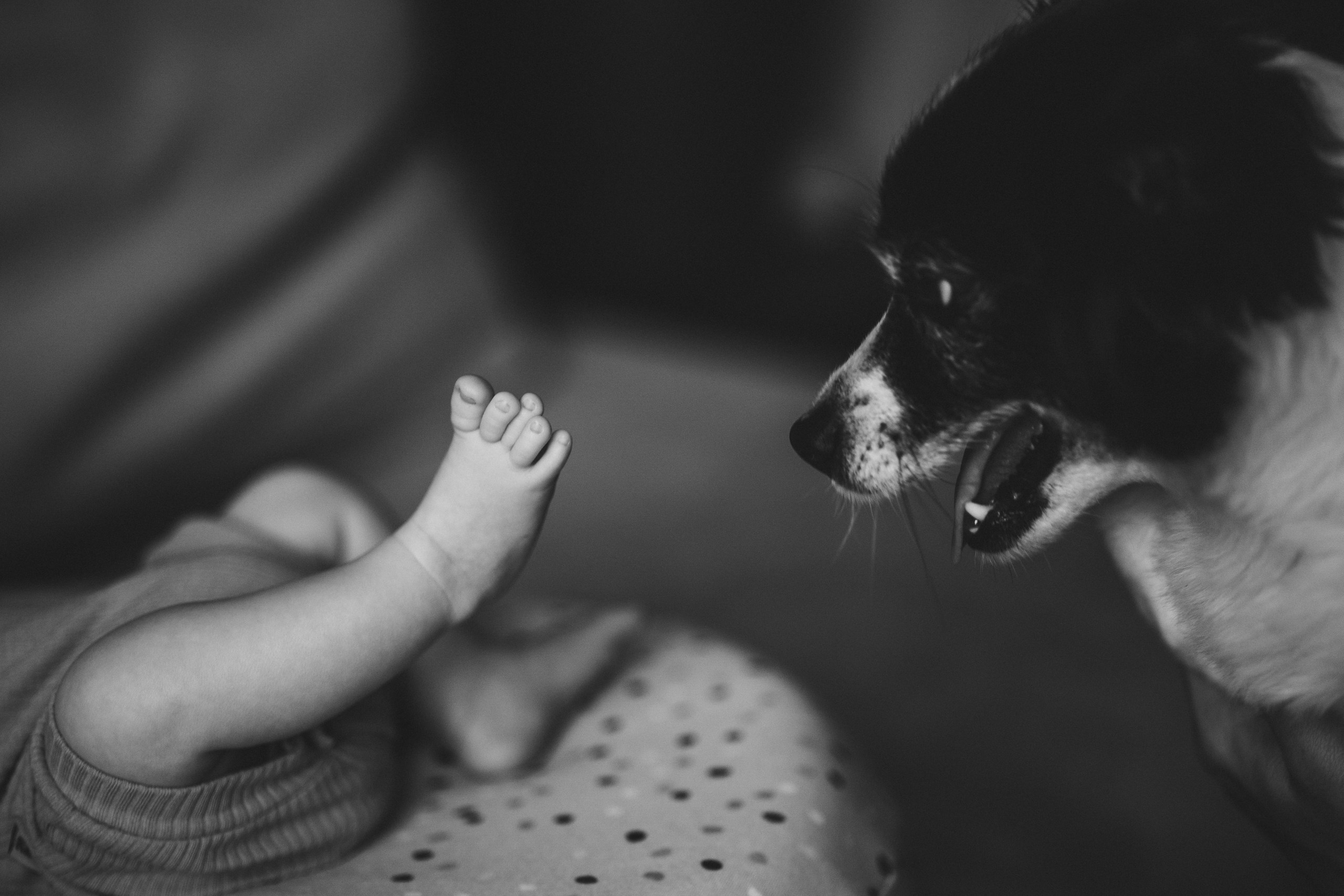 Первые дни жизни. Семейный LIFESTYLE фотограф в Москве