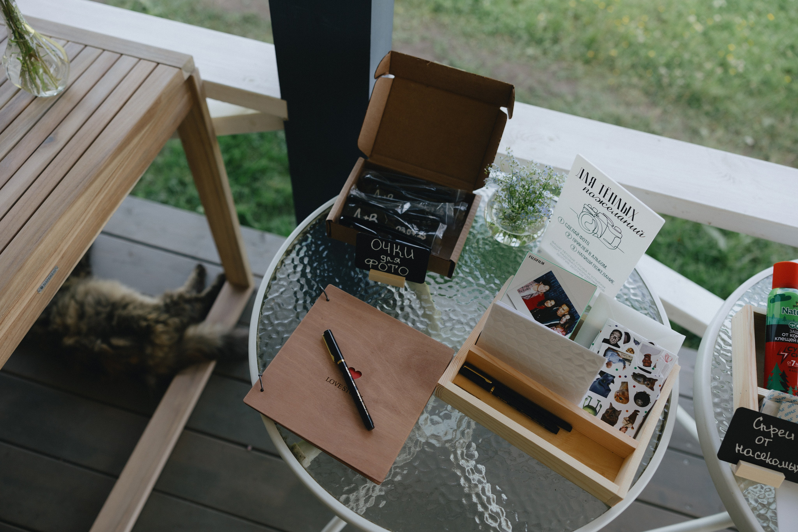 Эко вечеринка / 2025. Фотограф СПб