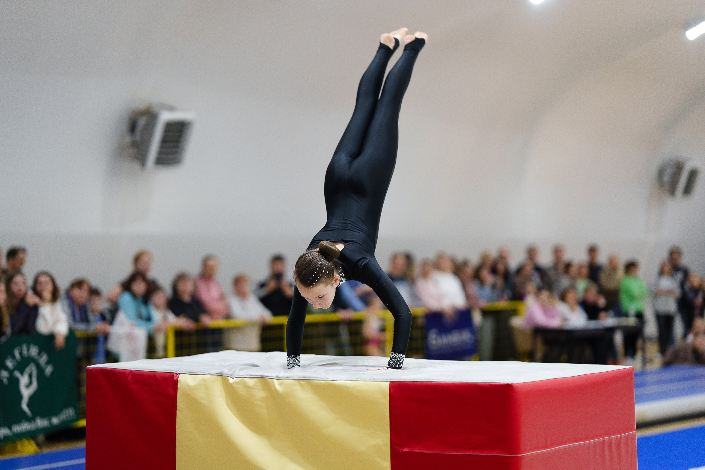 Гимнастика. Фотограф Москва