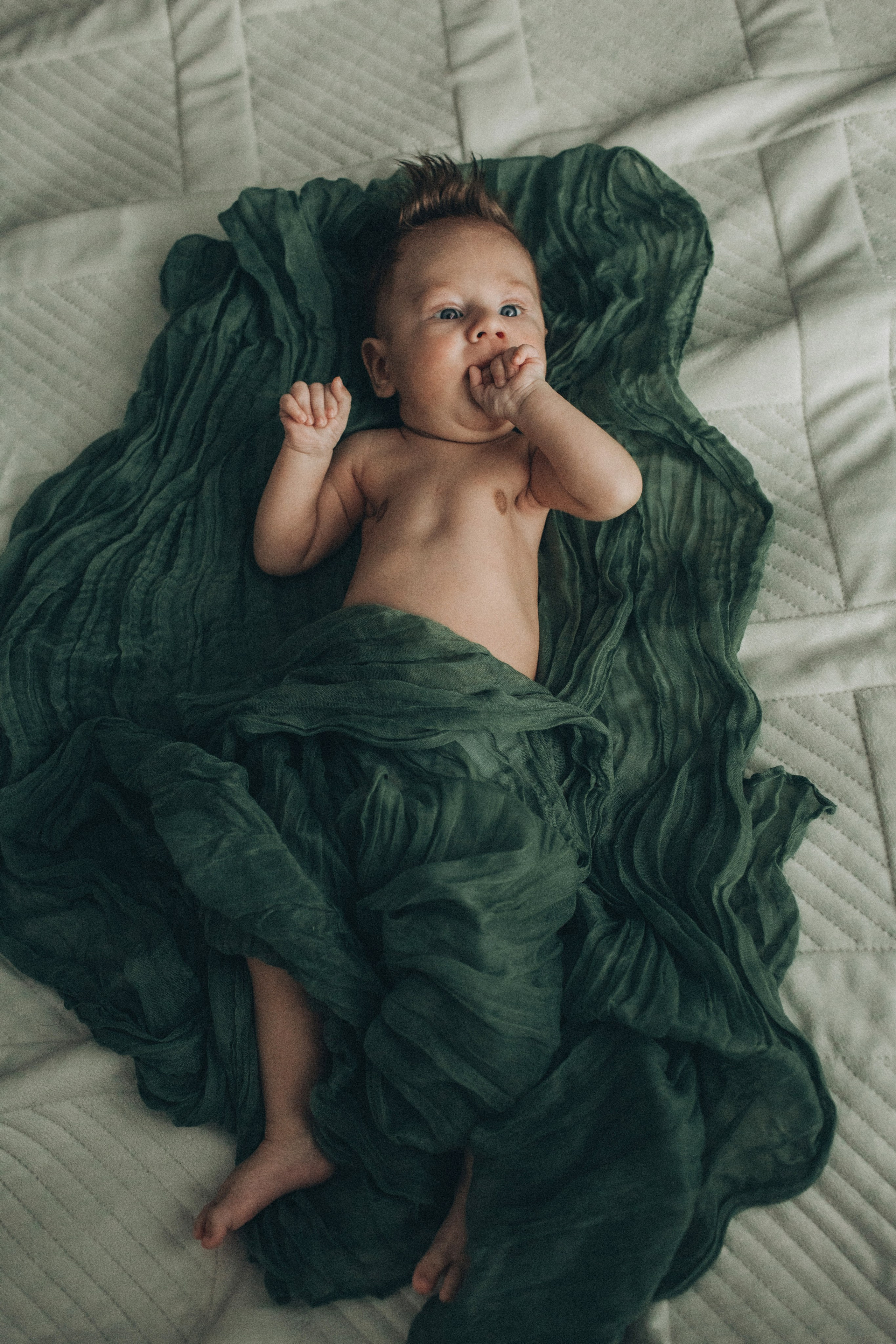 Глеб, Лиля, Андрей, Наташа. Семейный фотограф Томск