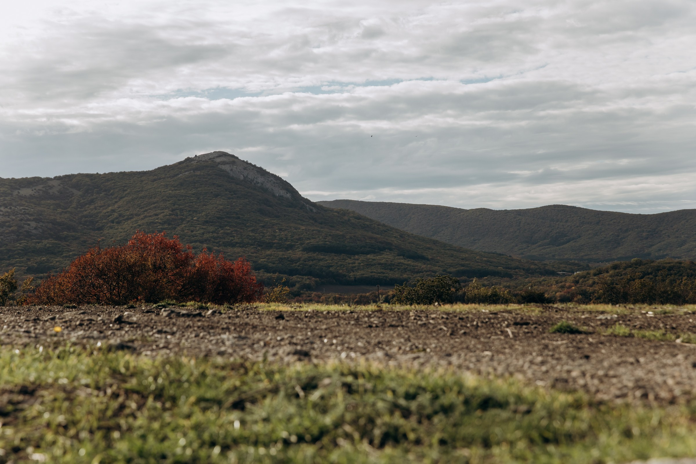 Съёмка для компании INTEQ HAUS из Москвы. Фотограф в Крыму — Федор зайцев. Свадебная, семейная и портретная съёмка. Фотографии для контента, для бизнеса. Корпоративная съёмка