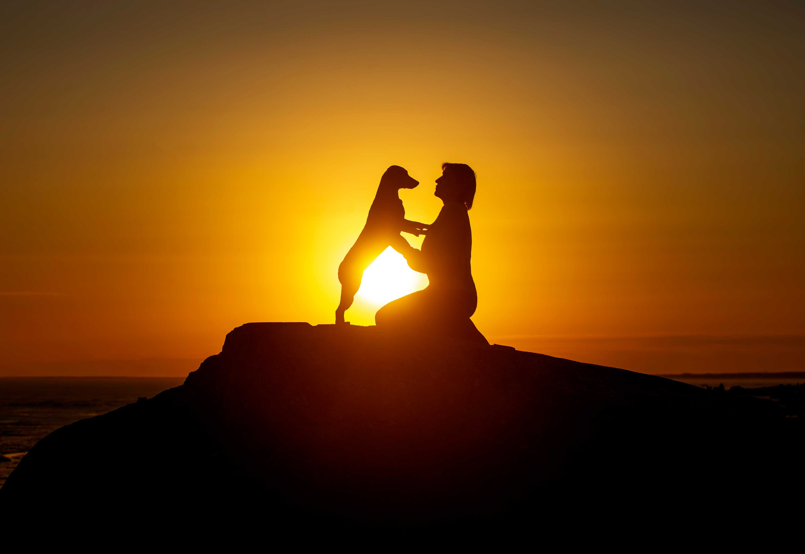 Фото с домашними питомцами. Портретная и свадебная фотосъемка. Москва и область