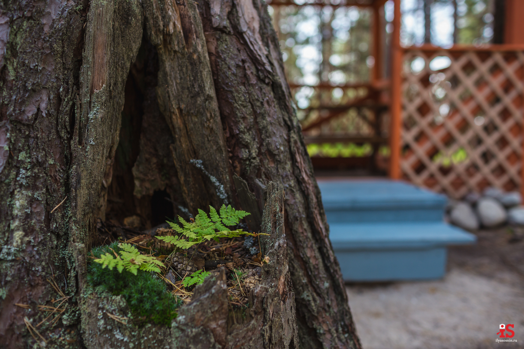 Интерьерная  фотосъемка, фото для гостиницы, фотосъемка отелей, фото для турбизнеса, фото номеров отелей, фото ресторана, фото меню отеля, конференц зал, гостевой дом в карелии, лучший фотограф интерьеров Петрозаводск Карелия, турбаза в Карелии, база отдыха на Сямозеро, фотограф Илья Соснин