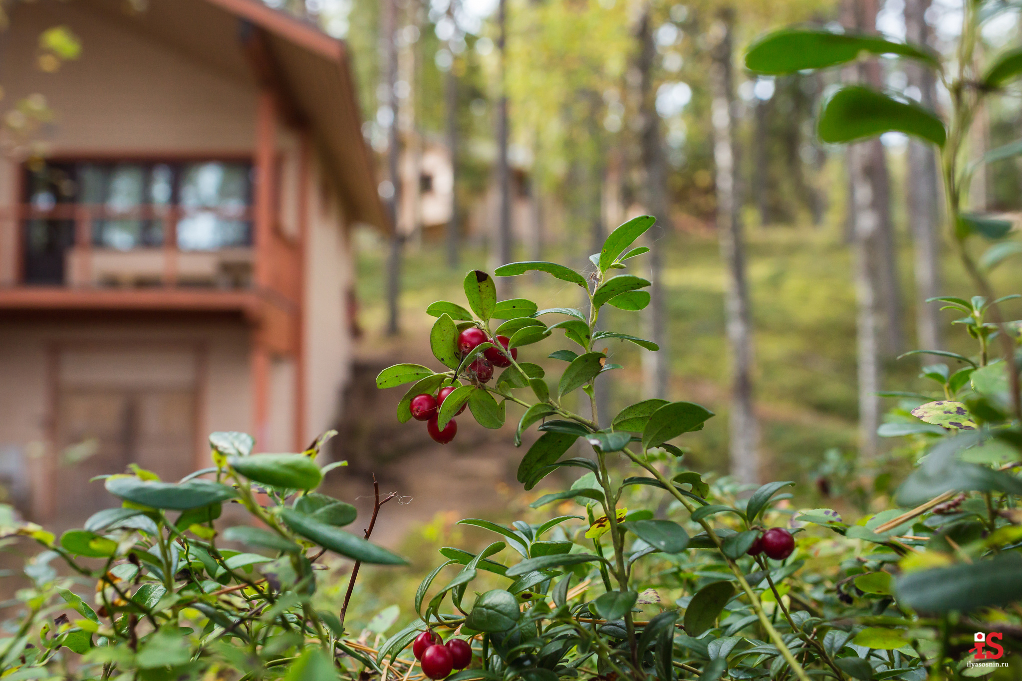Интерьерная  фотосъемка, фото для гостиницы, фотосъемка отелей, фото для турбизнеса, фото номеров отелей, фото ресторана, фото меню отеля, конференц зал, гостевой дом в карелии, лучший фотограф интерьеров Петрозаводск Карелия, турбаза в Карелии, база отдыха на Сямозеро, фотограф Илья Соснин